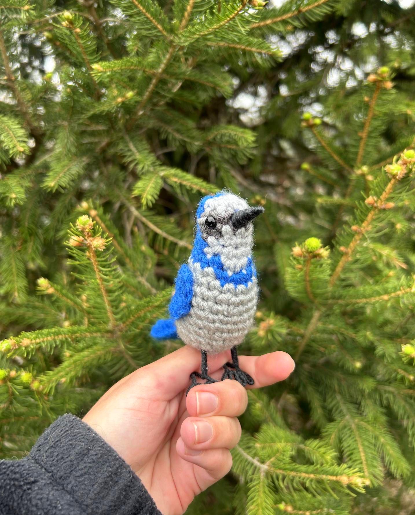 Scrub Jay Written Crochet Pattern | DIGITAL PDF