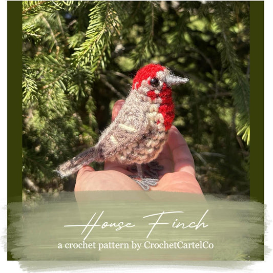 Crochet pattern for a handmade crochet house finch held in a hand with a green leafy background