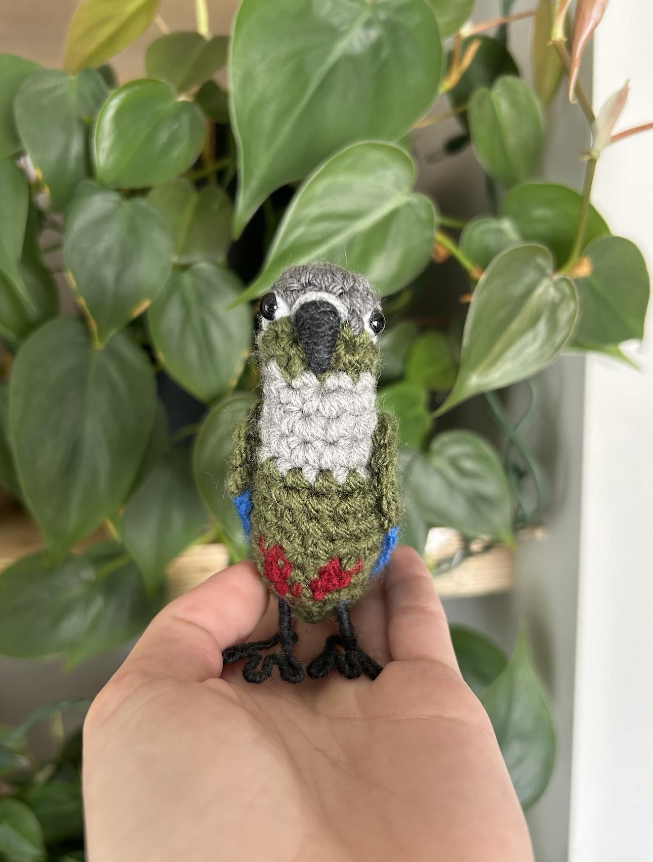 Green Cheek Conure Written Crochet Pattern | DIGITAL PDF