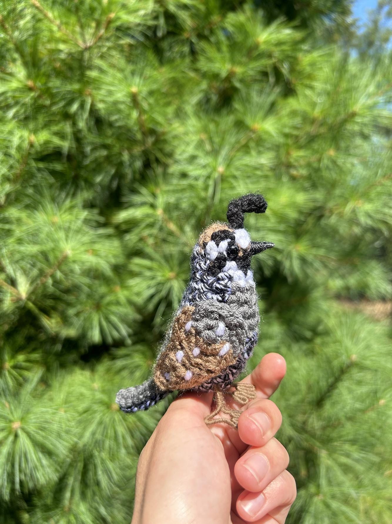 California Quail Written Crochet Pattern | DIGITAL PDF
