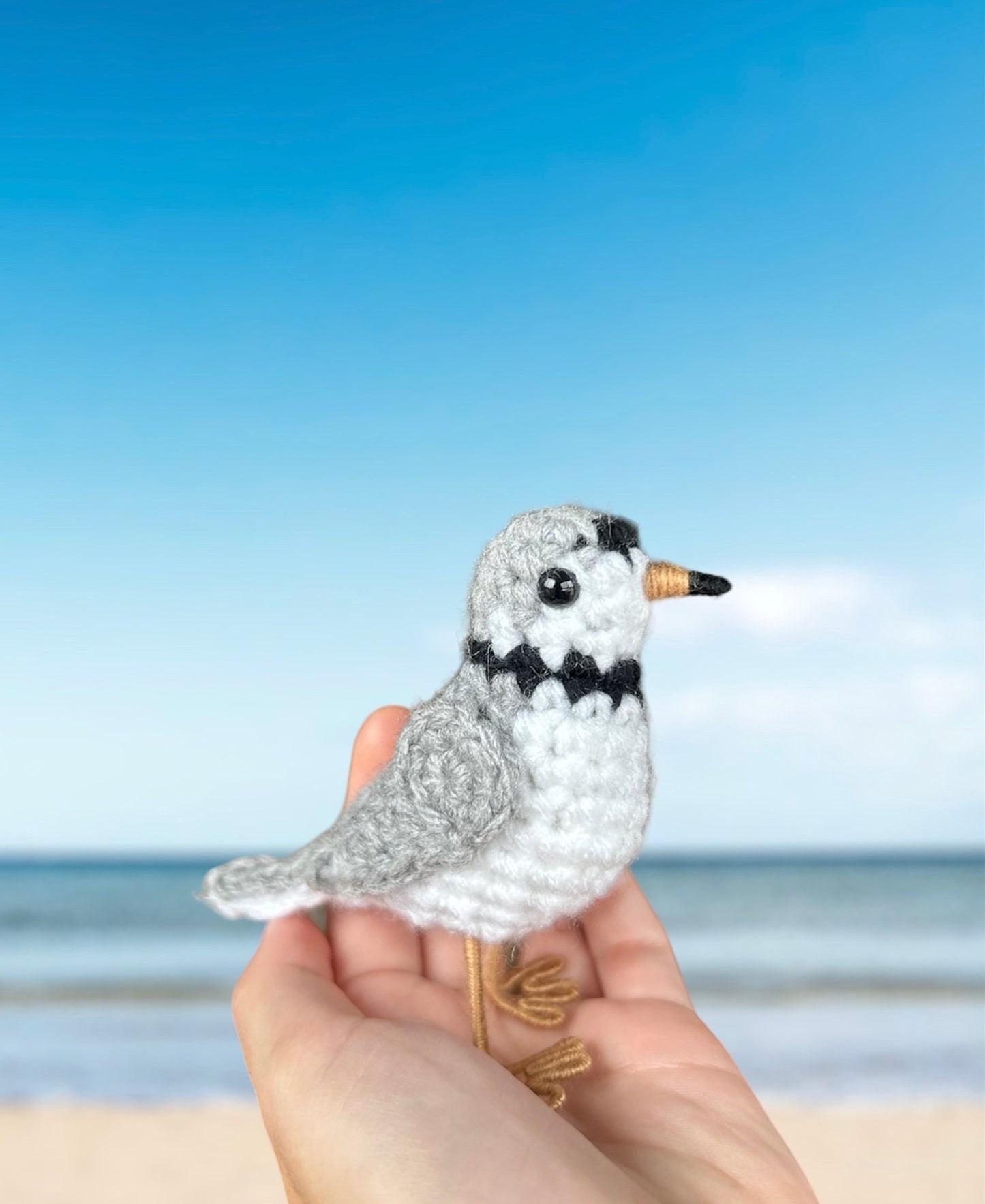 Piping Plover Written Crochet Pattern | DIGITAL PDF