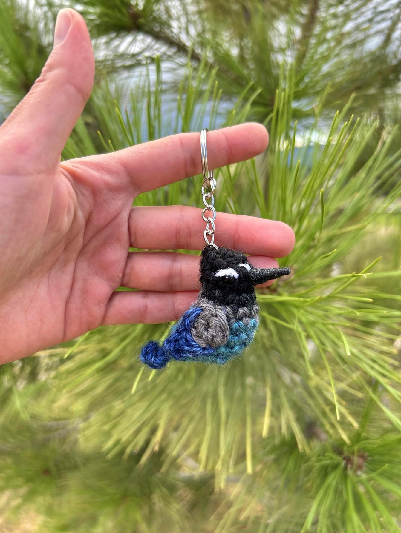 Tiny Birdies Steller's Jay Written Crochet Pattern | DIGITAL PDF
