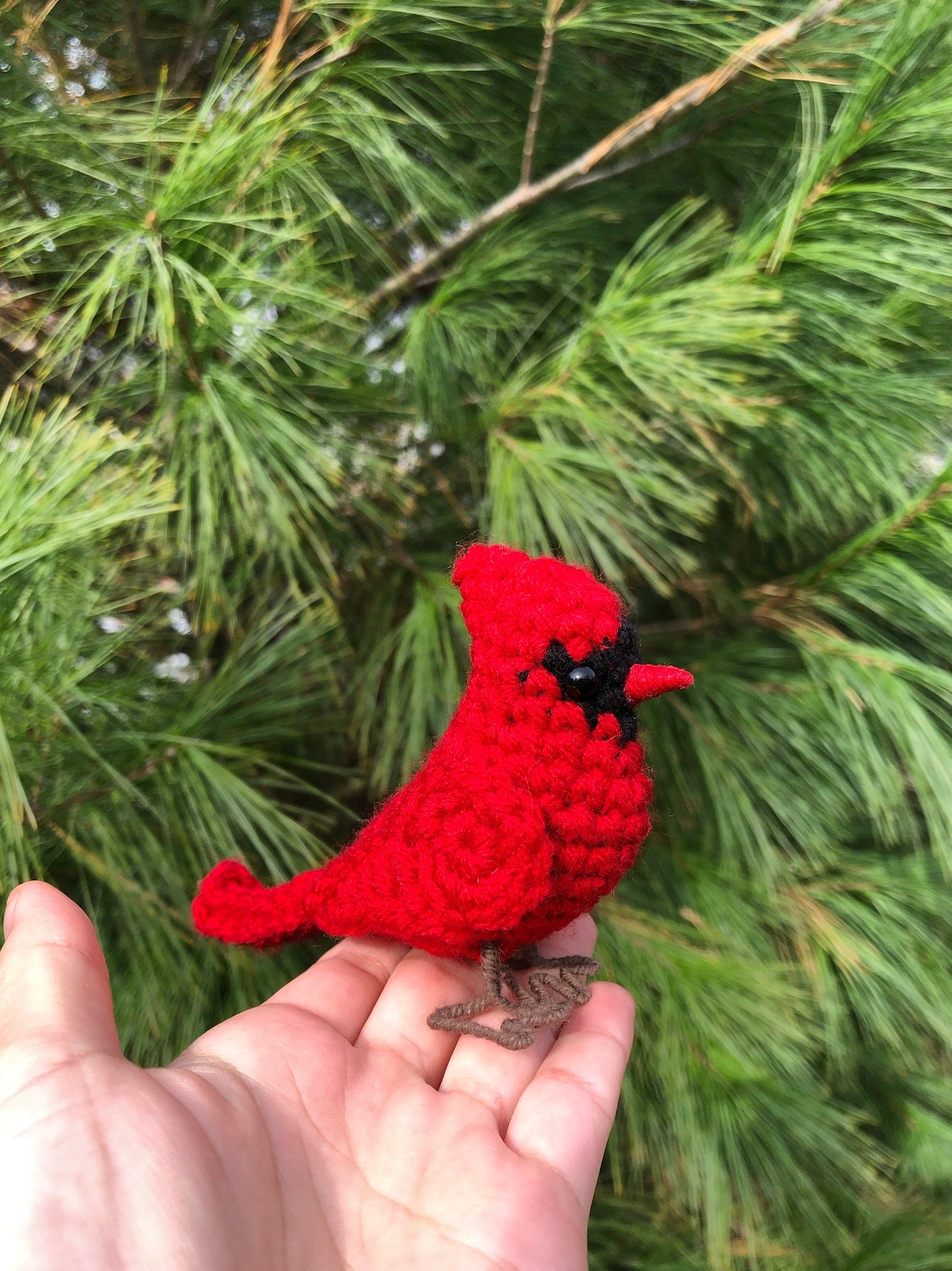 Garden Birds Crochet Pattern Collection | DIGITAL PDFs