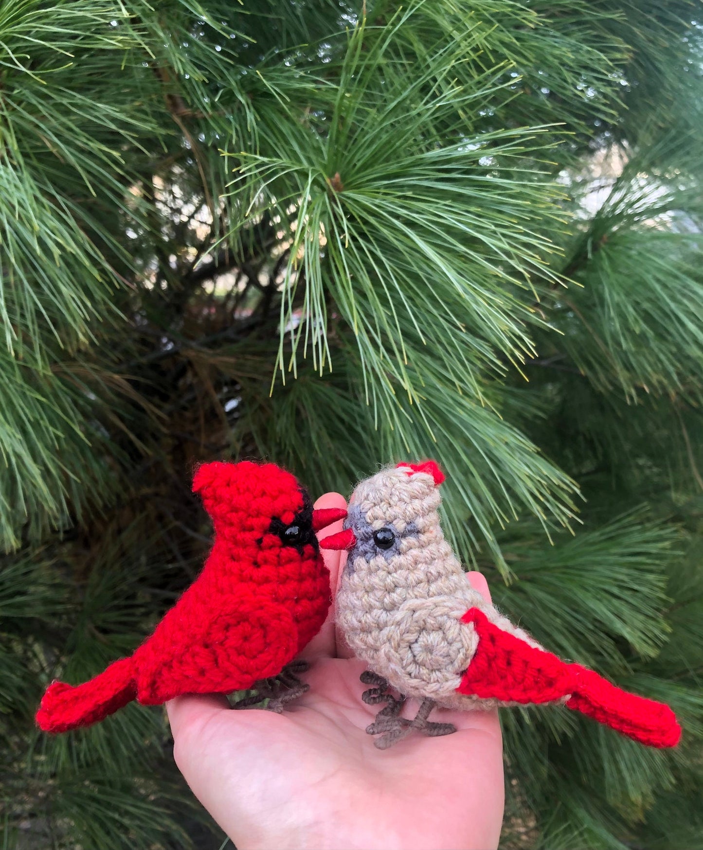 Male + Female Cardinal Crochet Pattern Bundle | DIGITAL PDFs