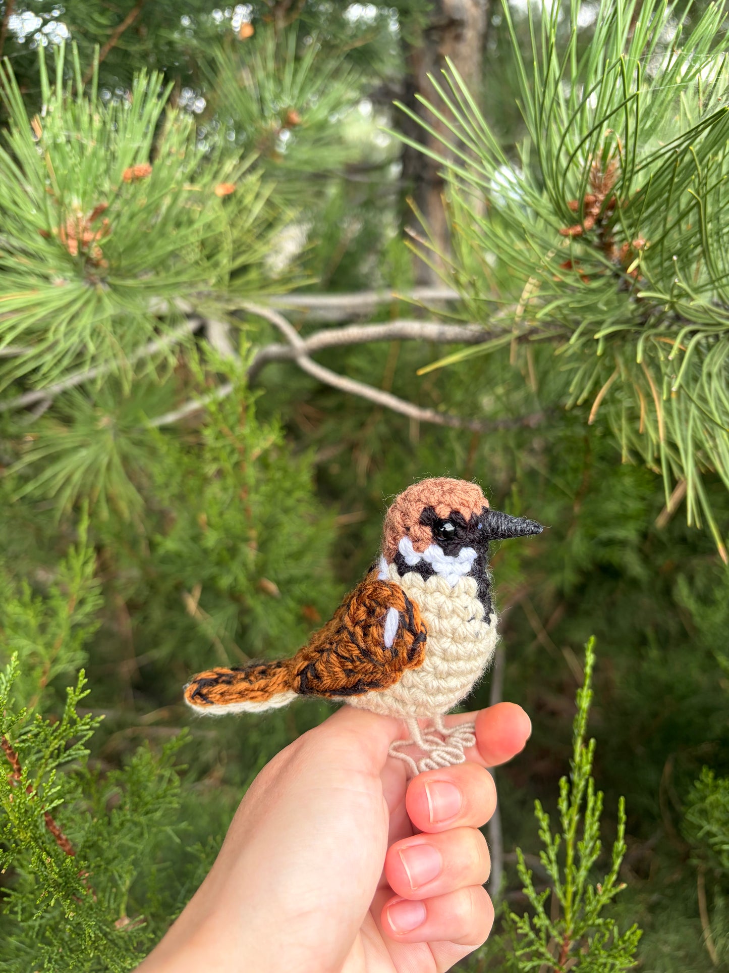 Eurasian Tree Sparrow Written Crochet Pattern | DIGITAL PDF