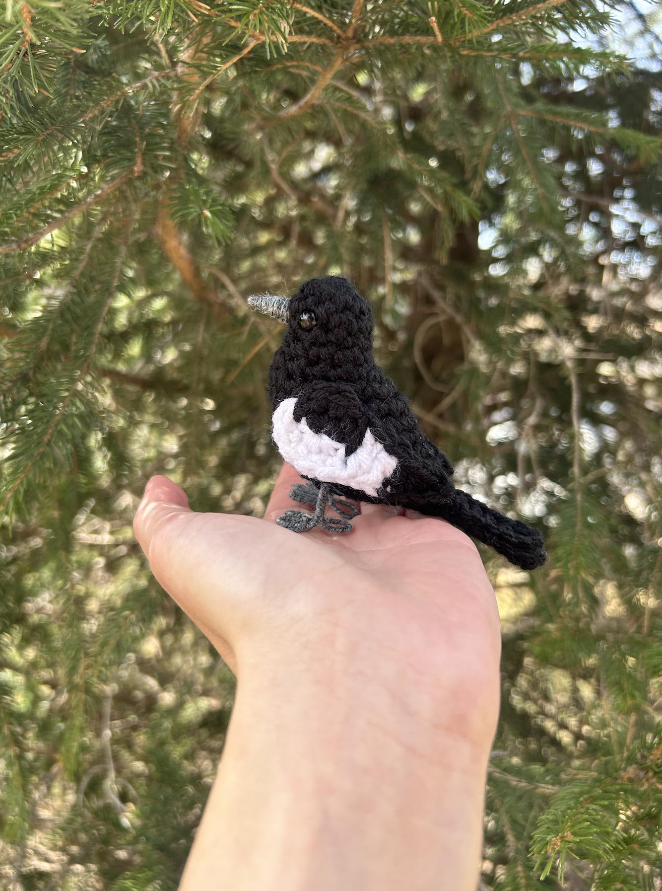 Lark Bunting Written Crochet Pattern | DIGITAL PDF