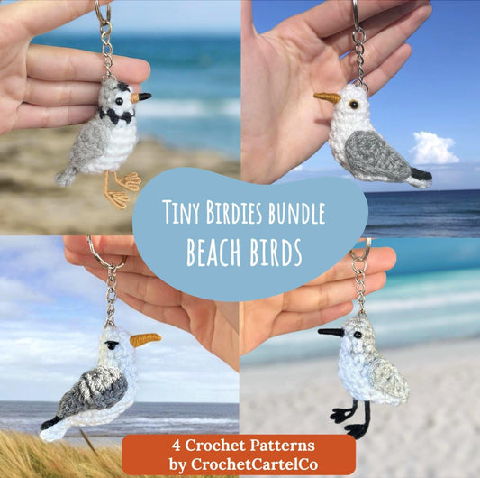 Hand holding a collection of crochet bird keychain crochet patterns, shown with a beach background, featuring 'Tiny Birdies Bundle Beach Birds' by CrochetCartelCo.