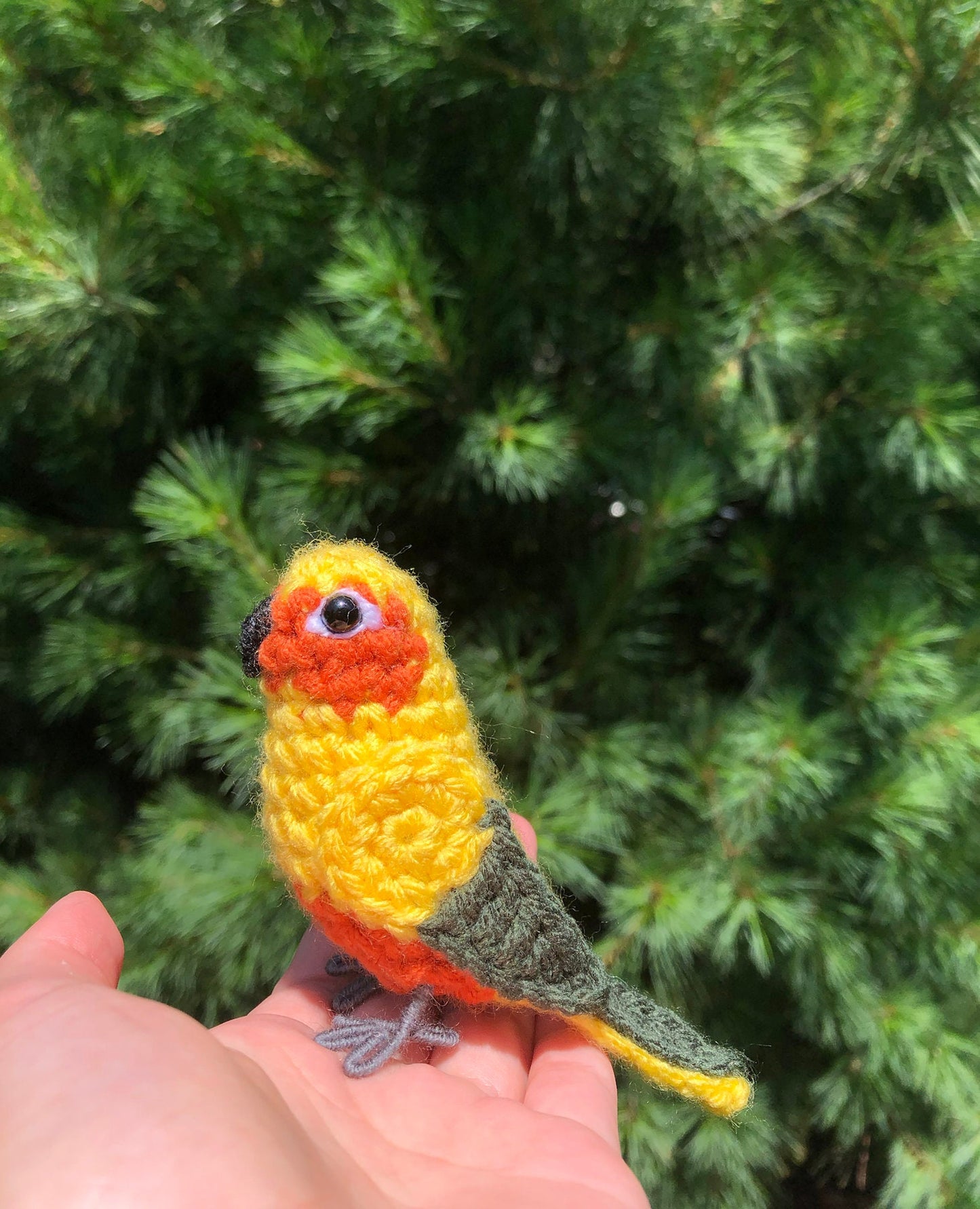 Sun Conure Written Crochet Pattern | DIGITAL PDF