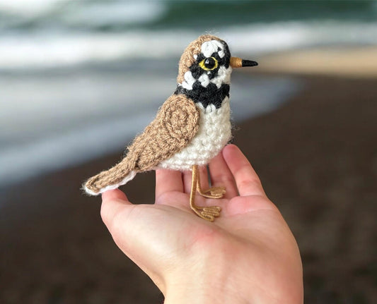 Hand holding a crocheted bird toy with a blurred natural background