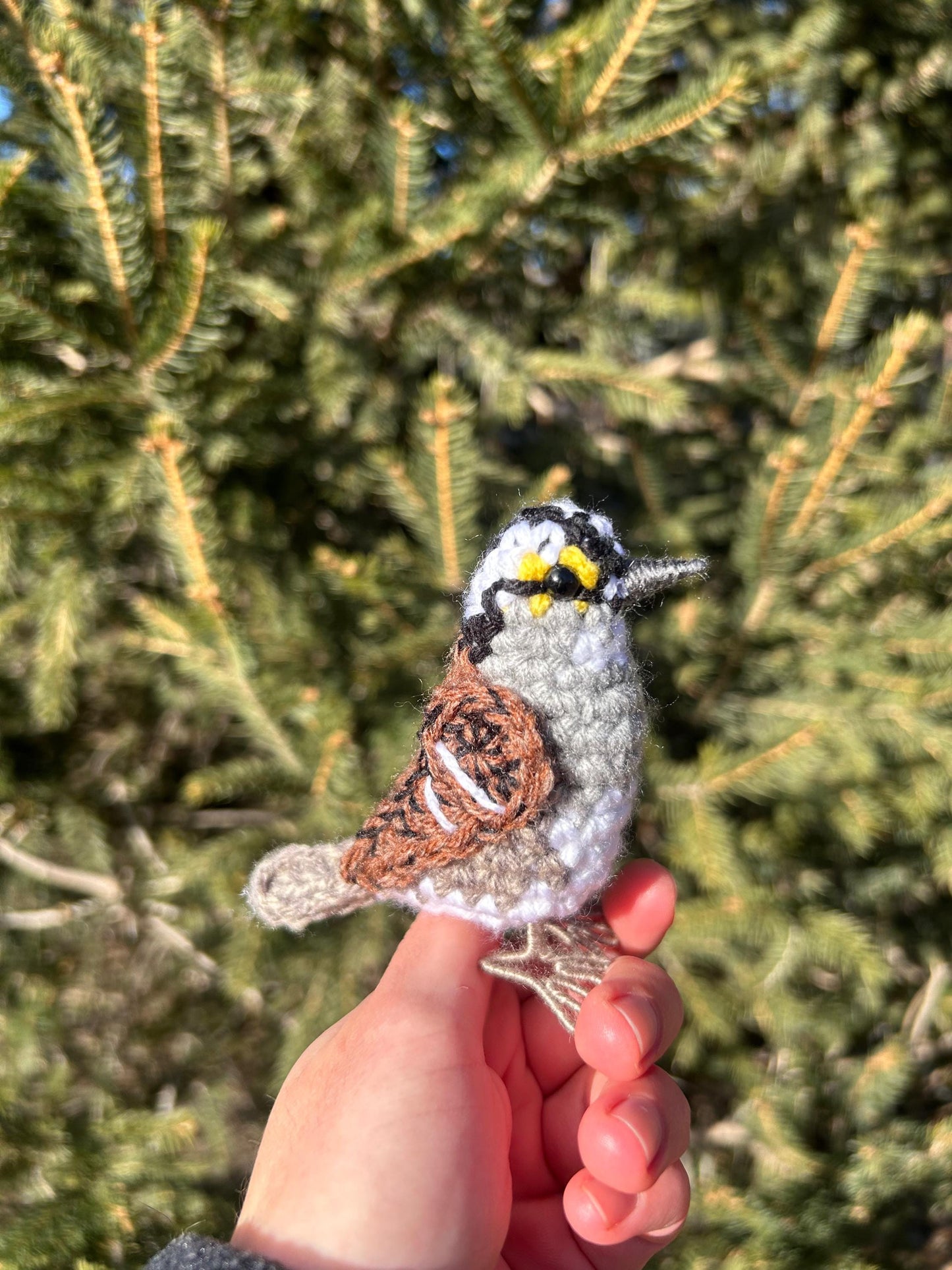 White-throated Sparrow Written Crochet Pattern | DIGITAL PDF