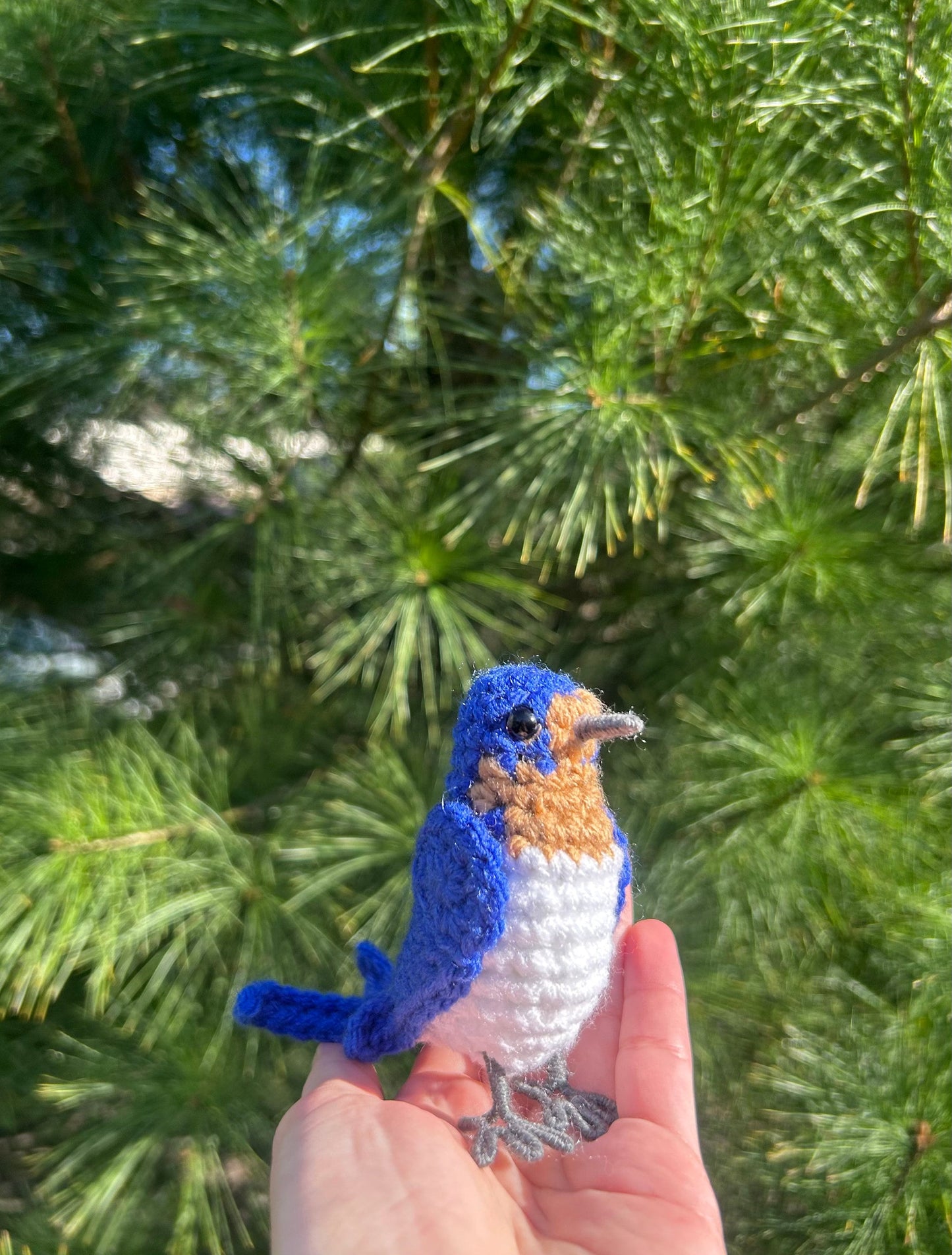 Barn Swallow Written Crochet Pattern | DIGITAL PDF