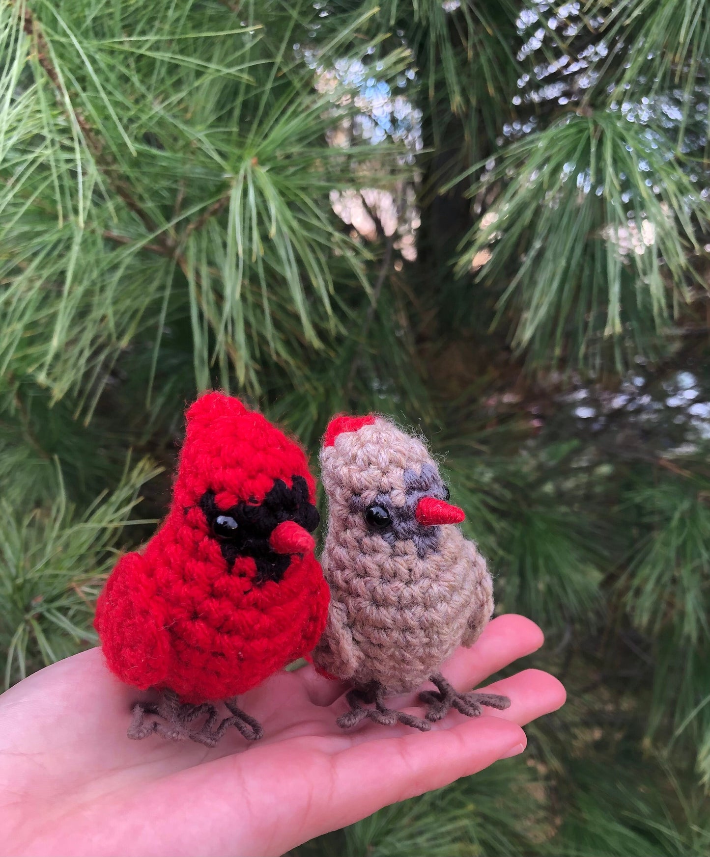 Male + Female Cardinal Bundle