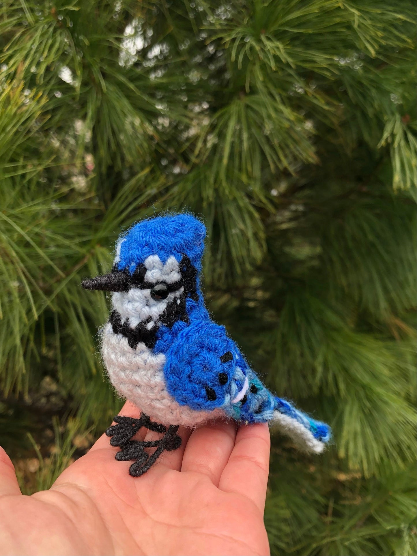 Beautiful Blue Jay Written Crochet Pattern | DIGITAL PDF