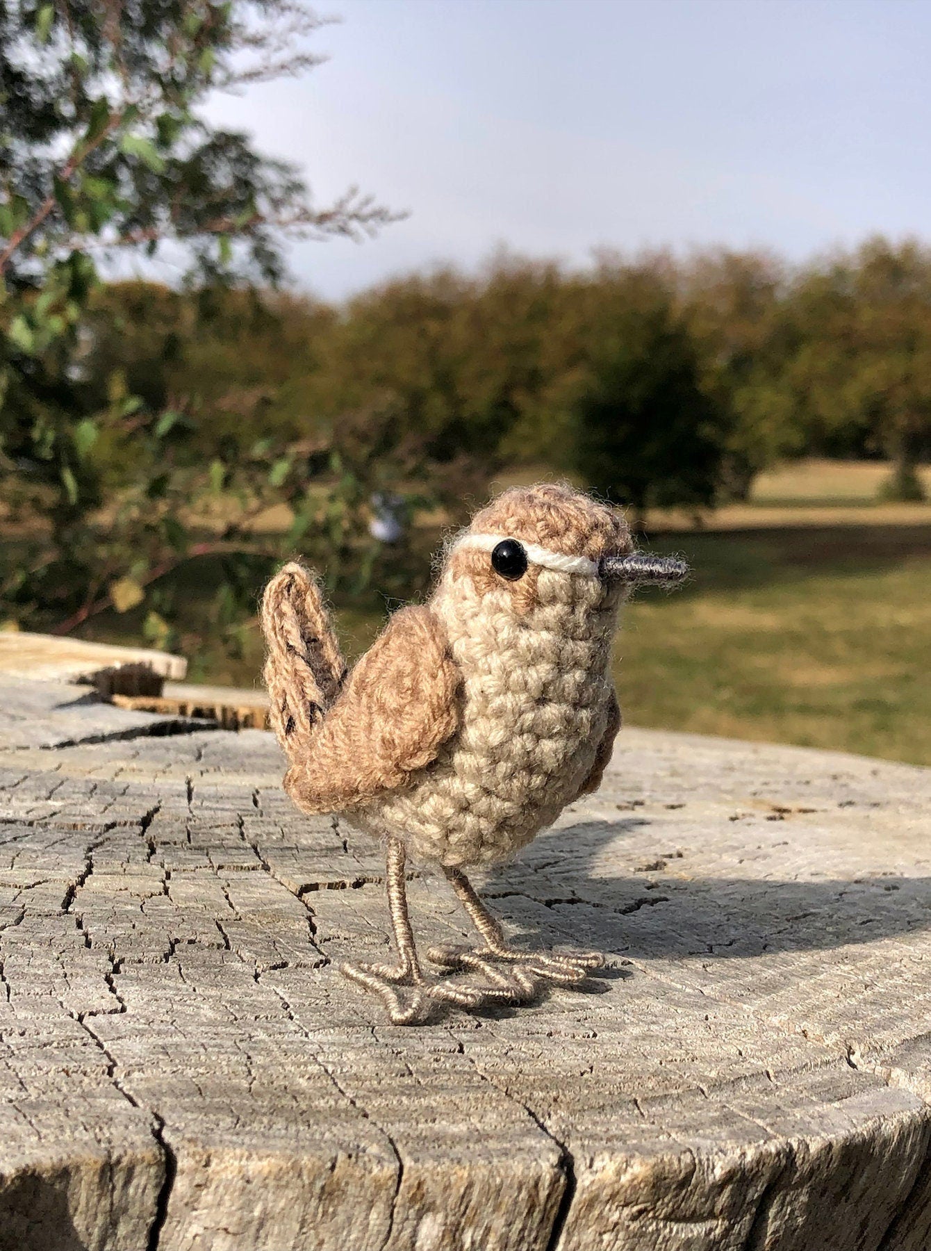 Little Wren Written Crochet Pattern | DIGITAL PDF