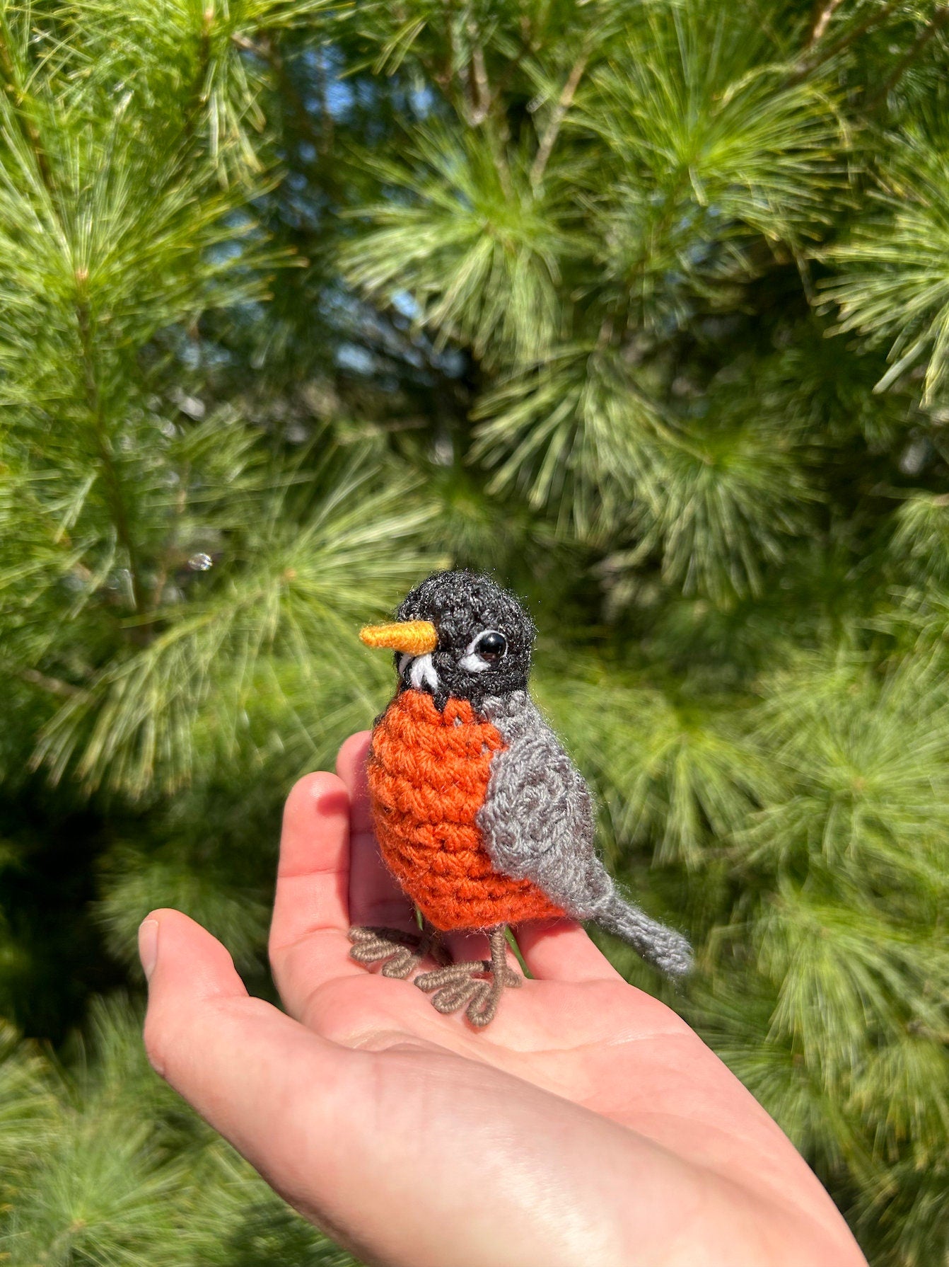 American Robin Written Crochet Pattern | DIGITAL PDF