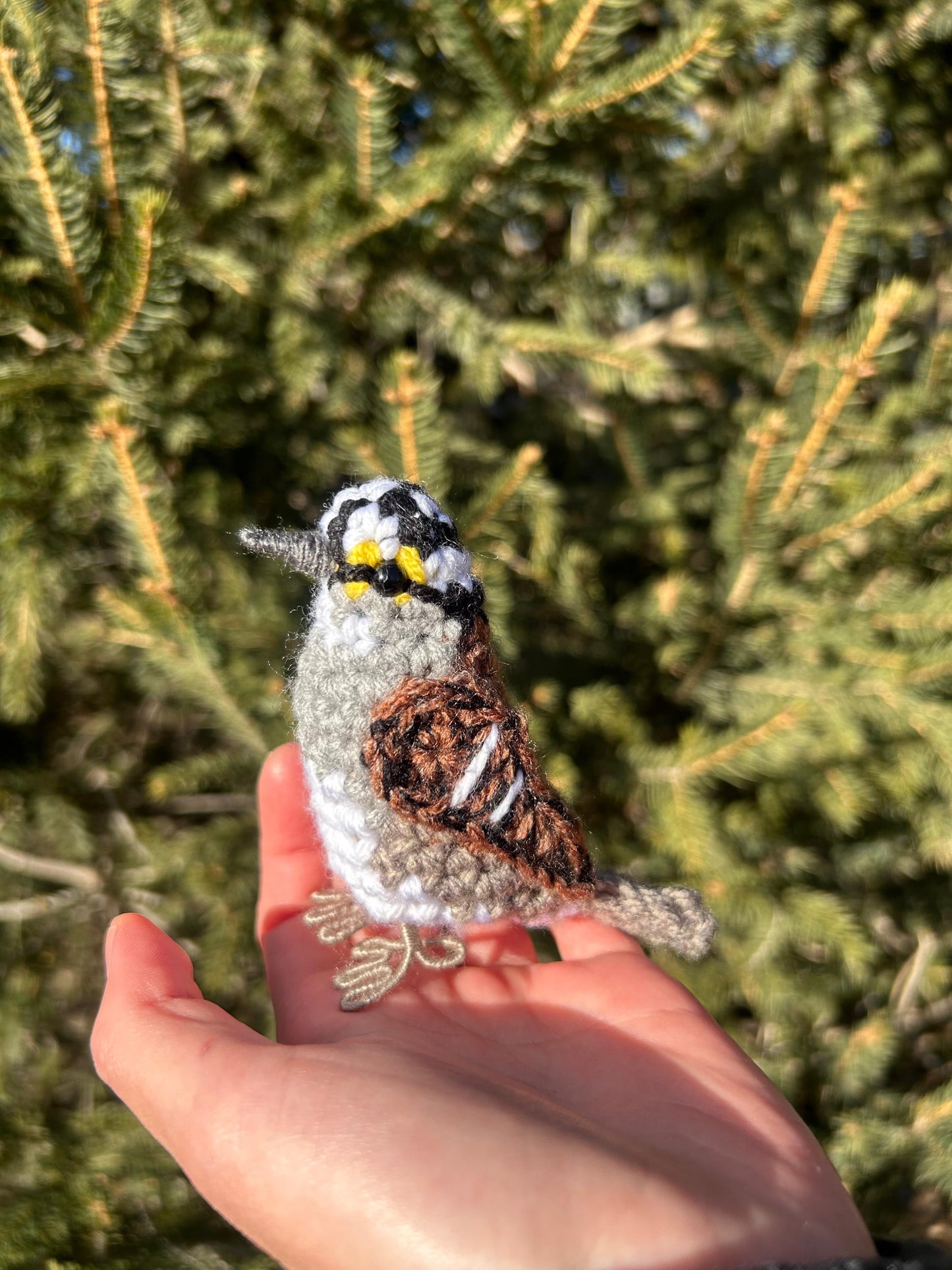 White-throated Sparrow Written Crochet Pattern | DIGITAL PDF