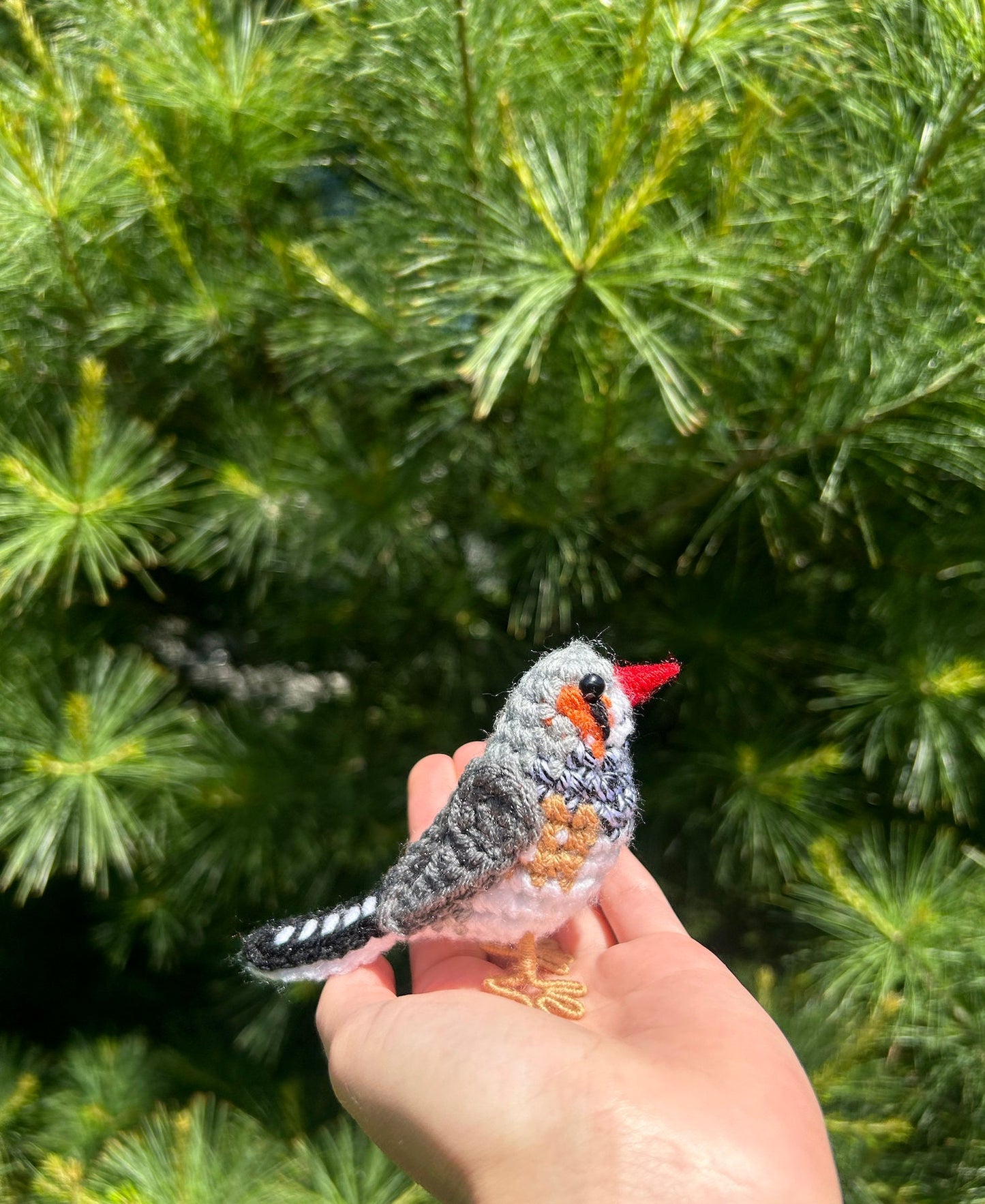 Zebra Finch Written Crochet Pattern | DIGITAL PDF