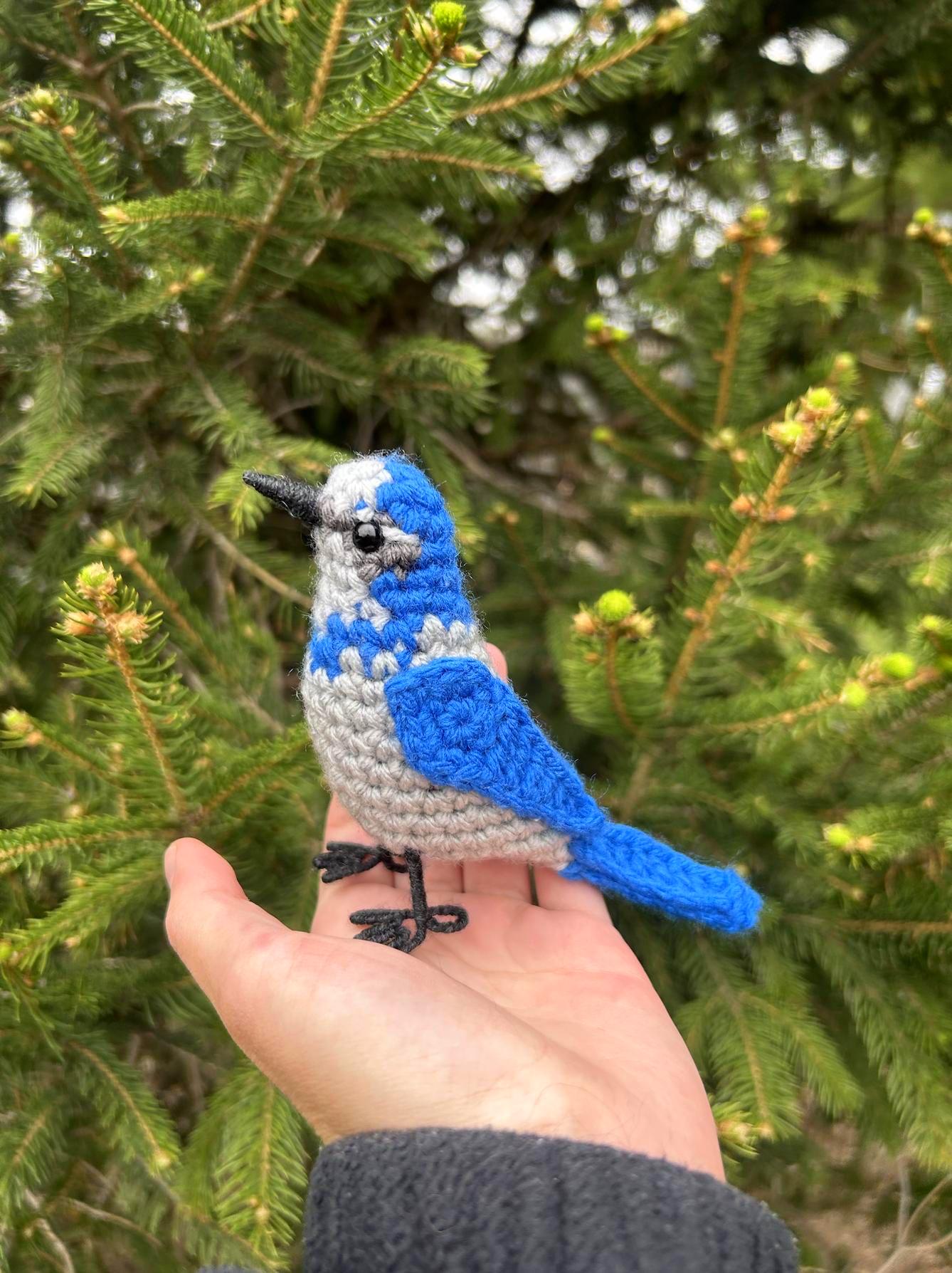 Scrub Jay Written Crochet Pattern | DIGITAL PDF