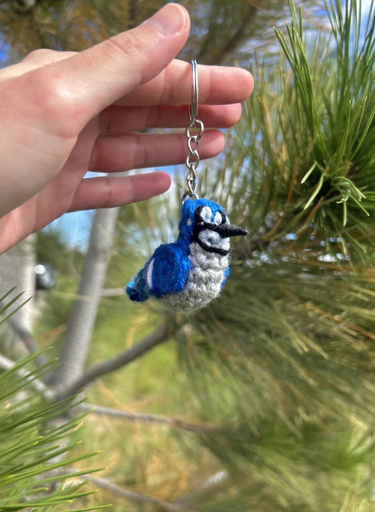 Tiny Birdies Blue Jay Written Crochet Pattern | DIGITAL PDF