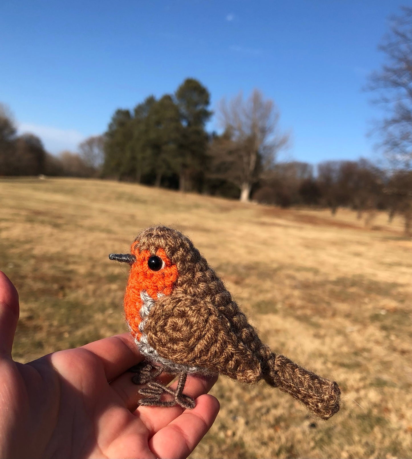 European Robin Written Crochet Pattern | DIGITAL PDF