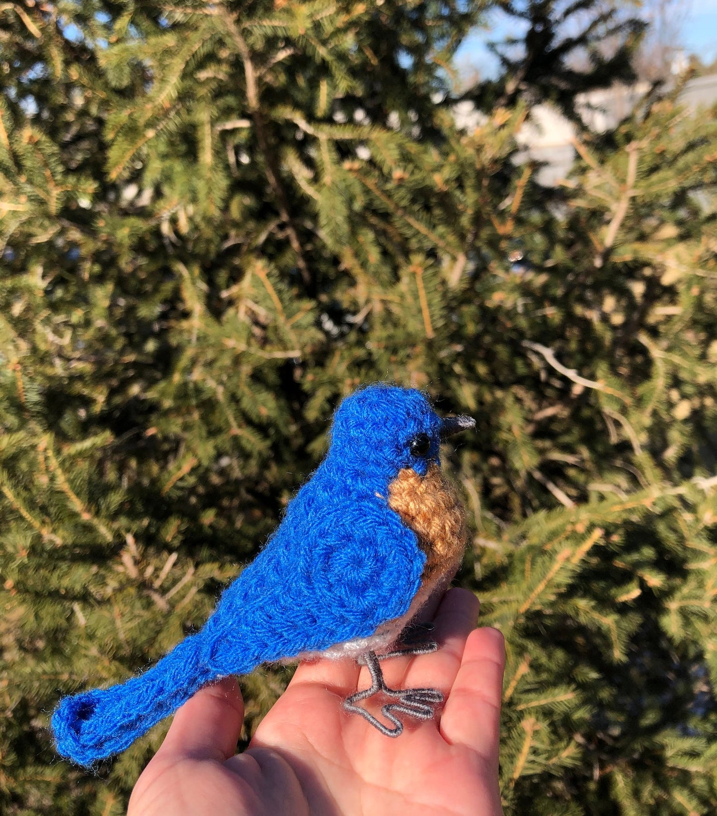 Eastern Bluebird Written Crochet Pattern | DIGITAL PDF