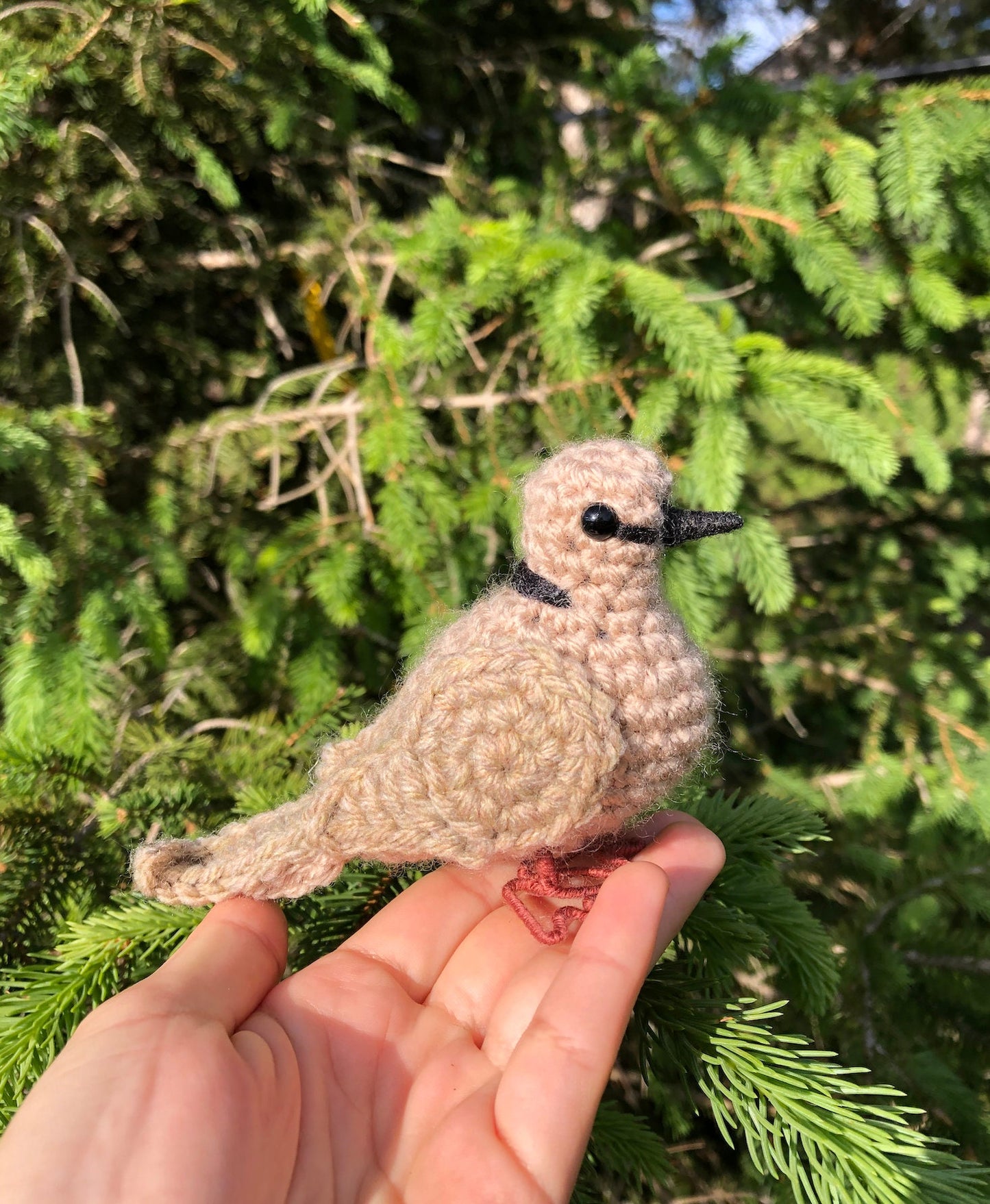 Ring-necked Dove Written Crochet Pattern | DIGITAL PDF