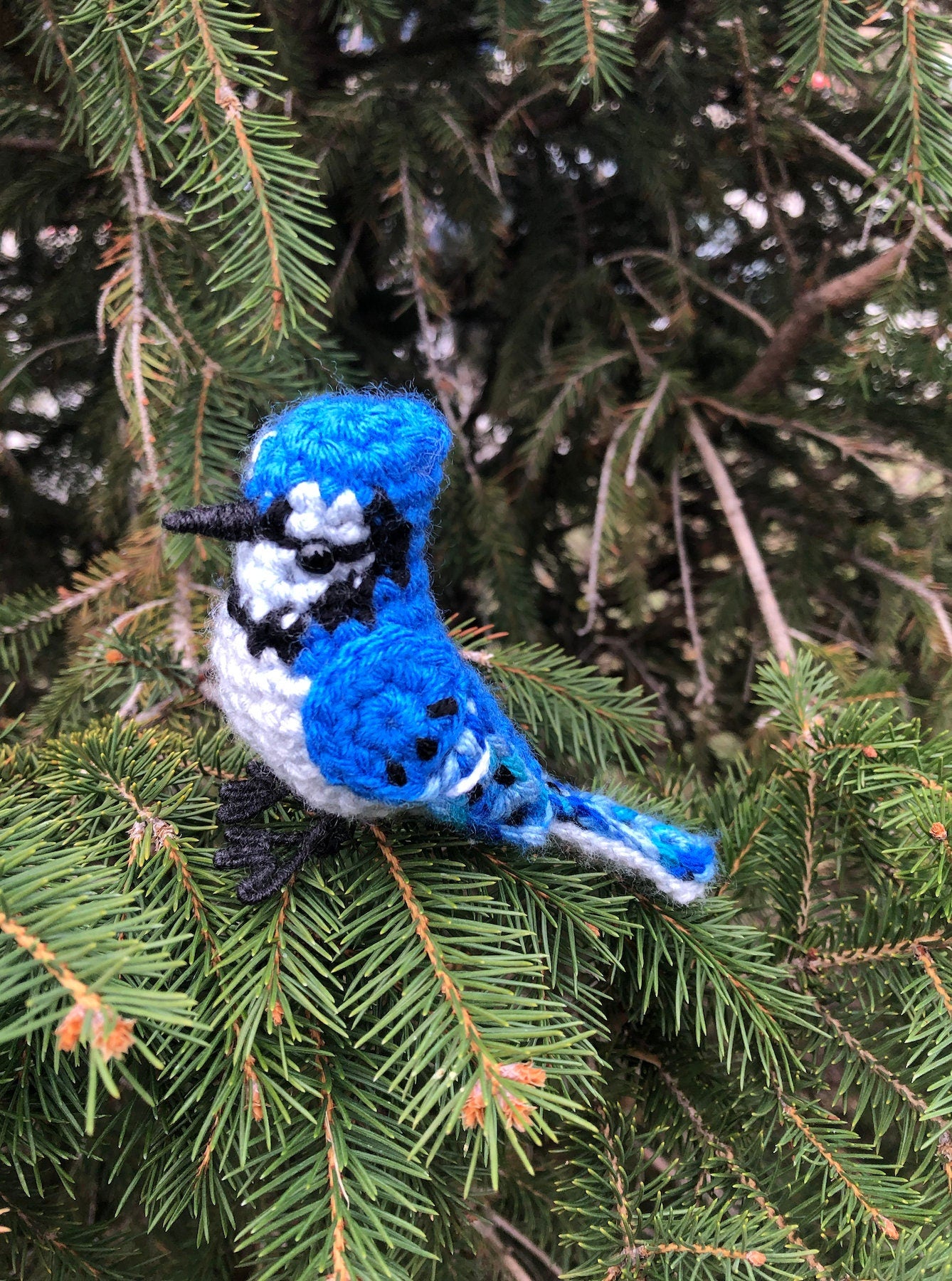 Beautiful Blue Jay Written Crochet Pattern | DIGITAL PDF