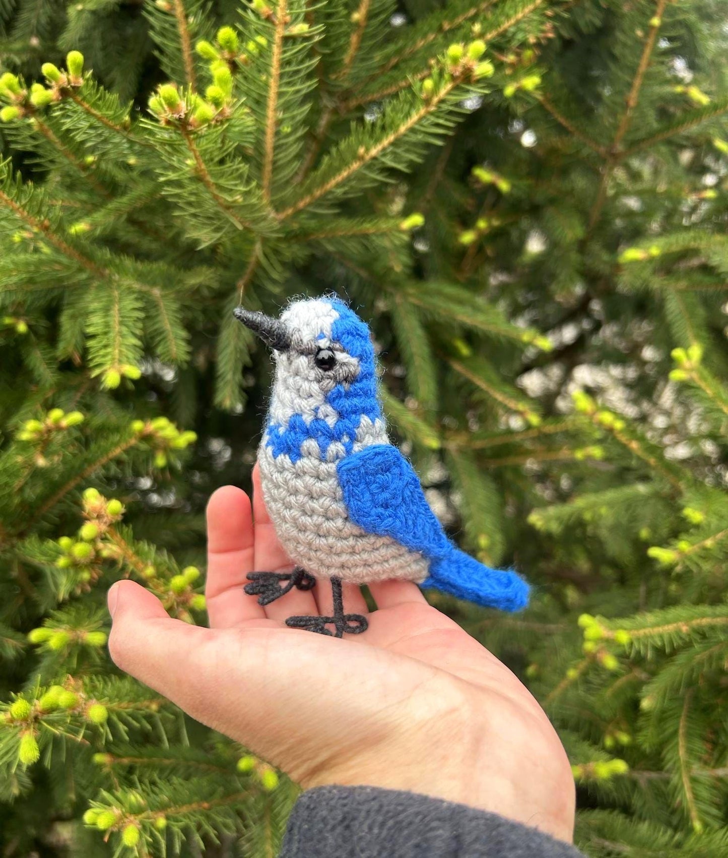 Scrub Jay Written Crochet Pattern | DIGITAL PDF