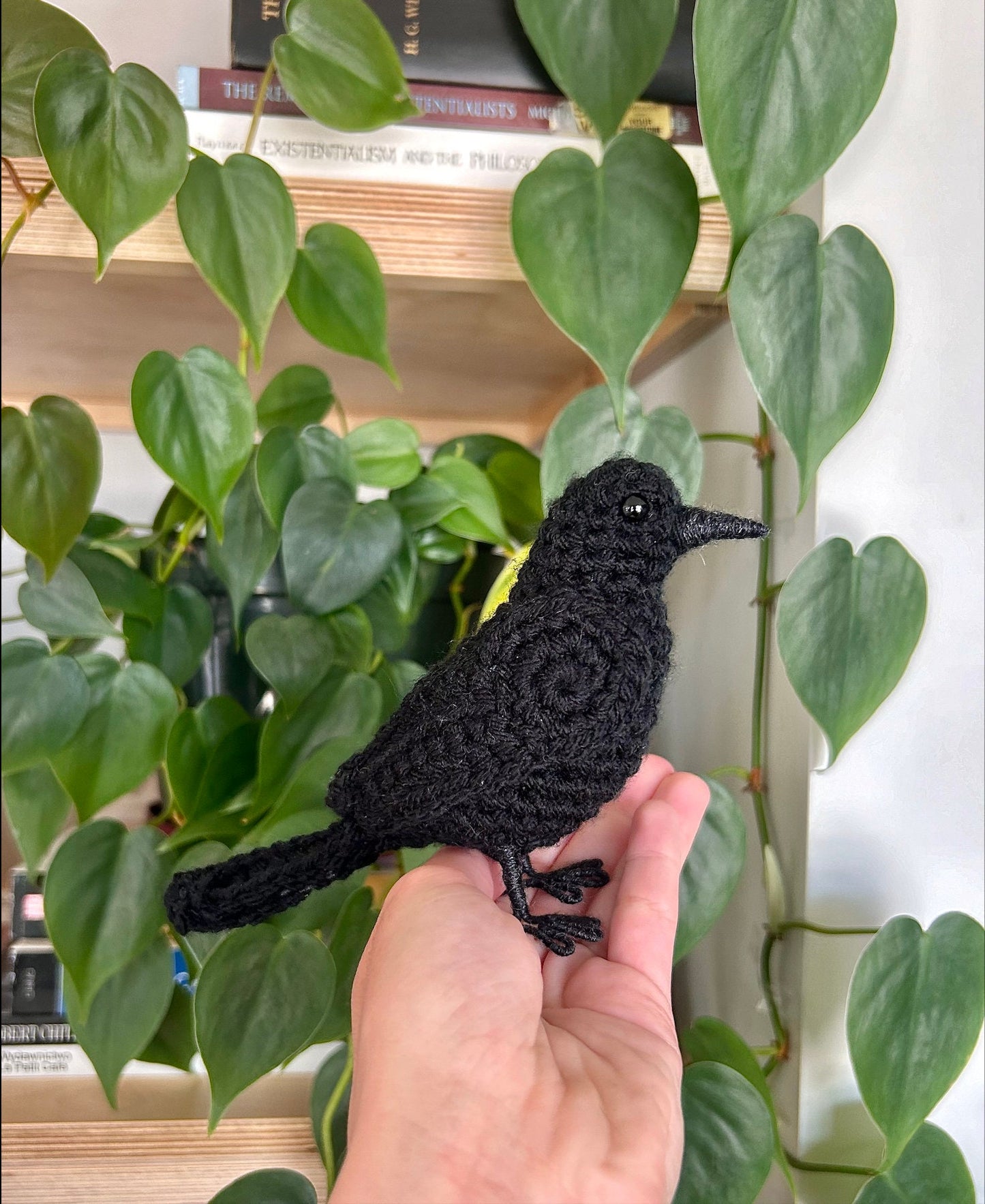Beautiful Raven Written Crochet Pattern | DIGITAL PDF