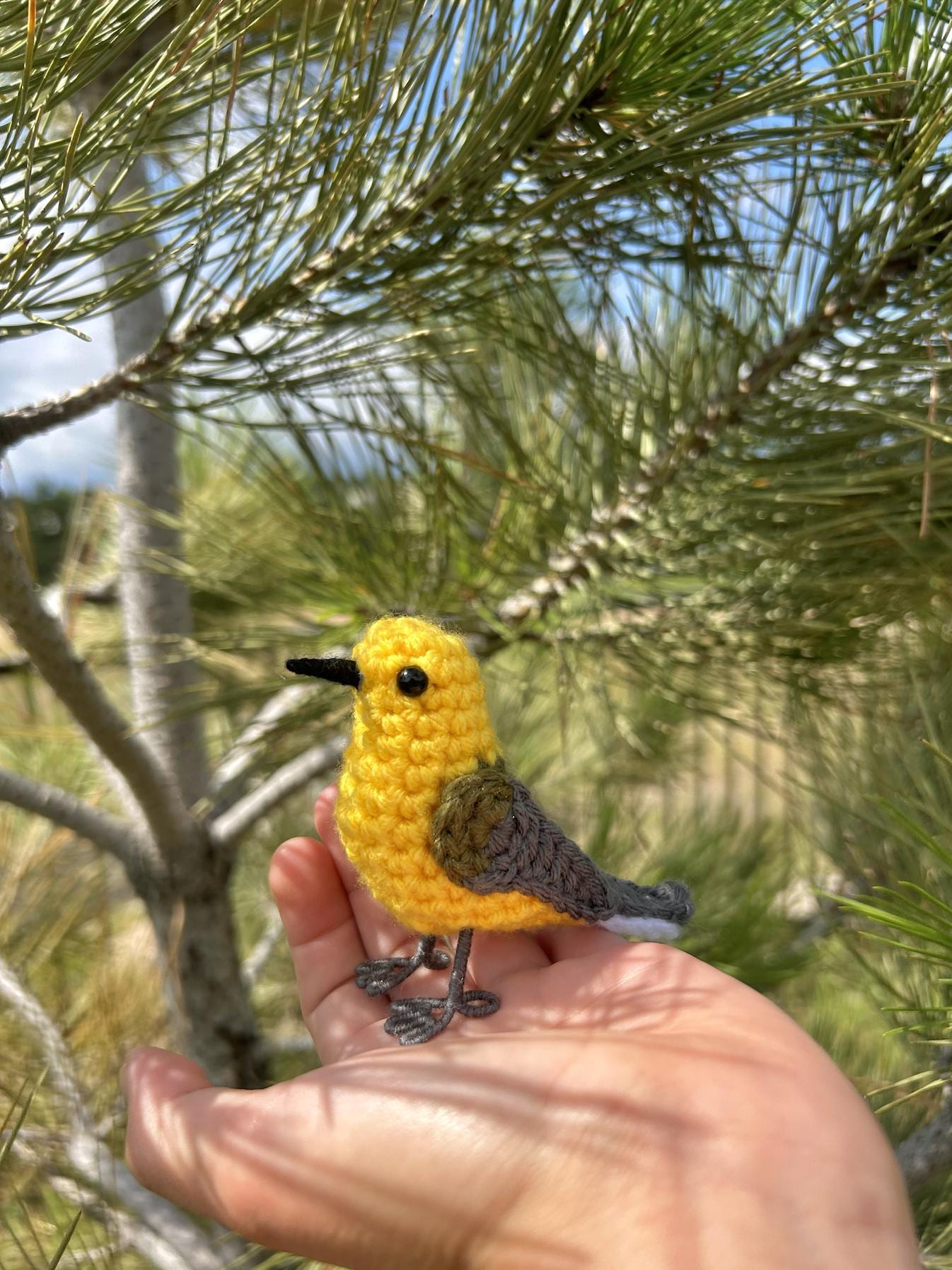 Prothonotary Warbler Written Crochet Pattern | DIGITAL PDF