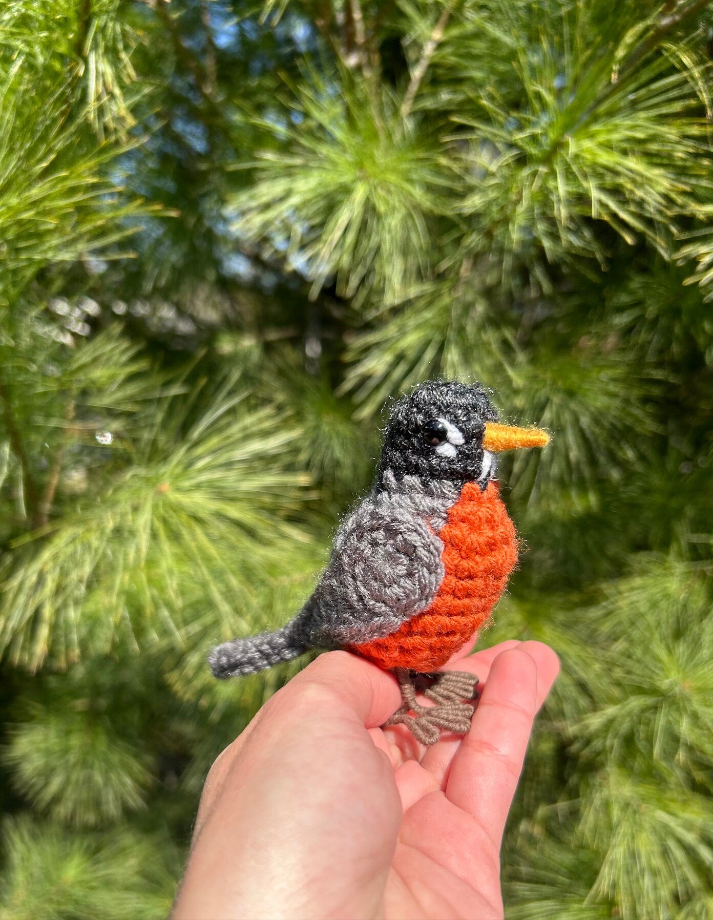 American Robin Written Crochet Pattern | DIGITAL PDF