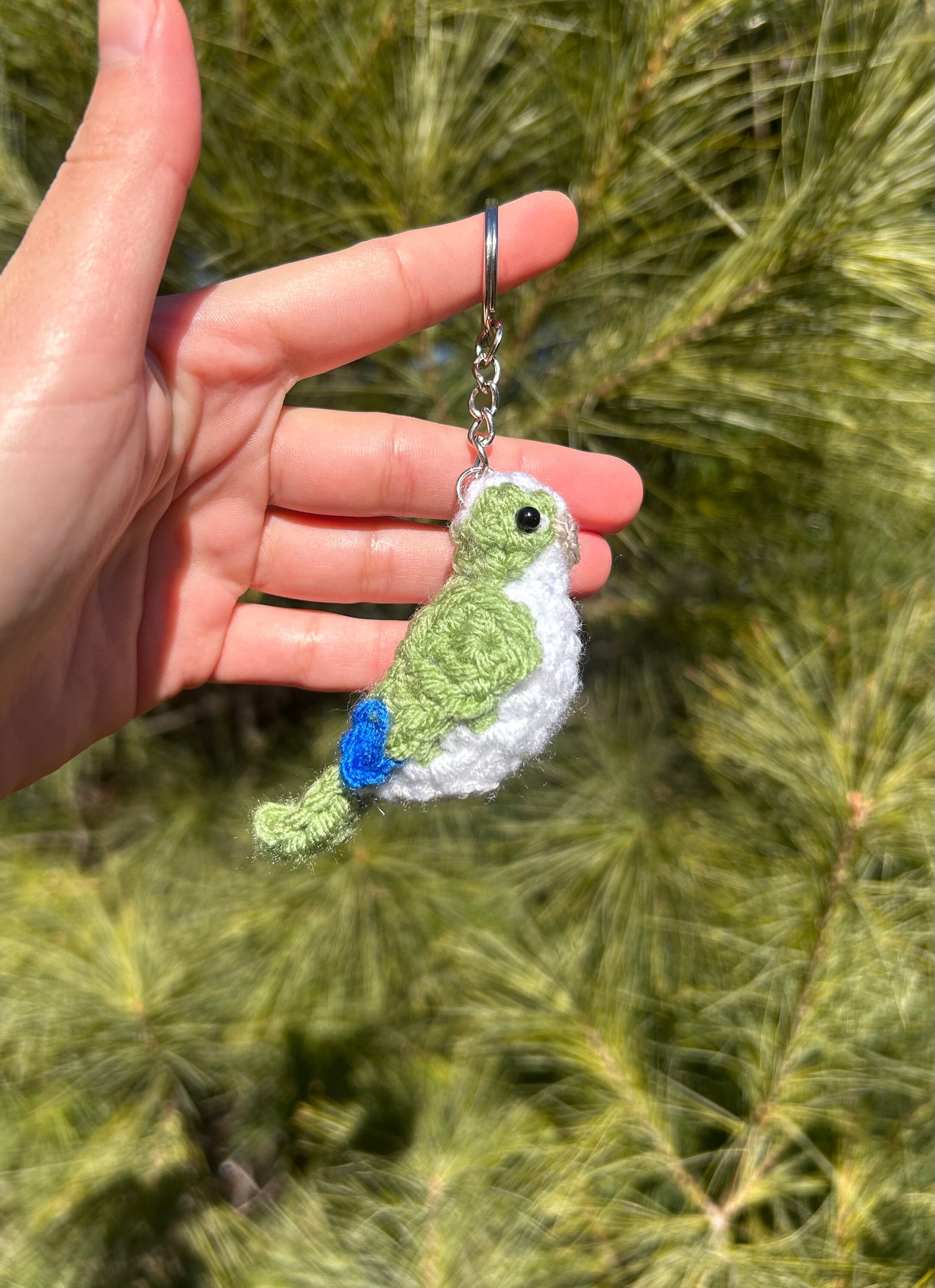 Tiny Birdies Quaker Parrot Written Crochet Pattern | DIGITAL PDF