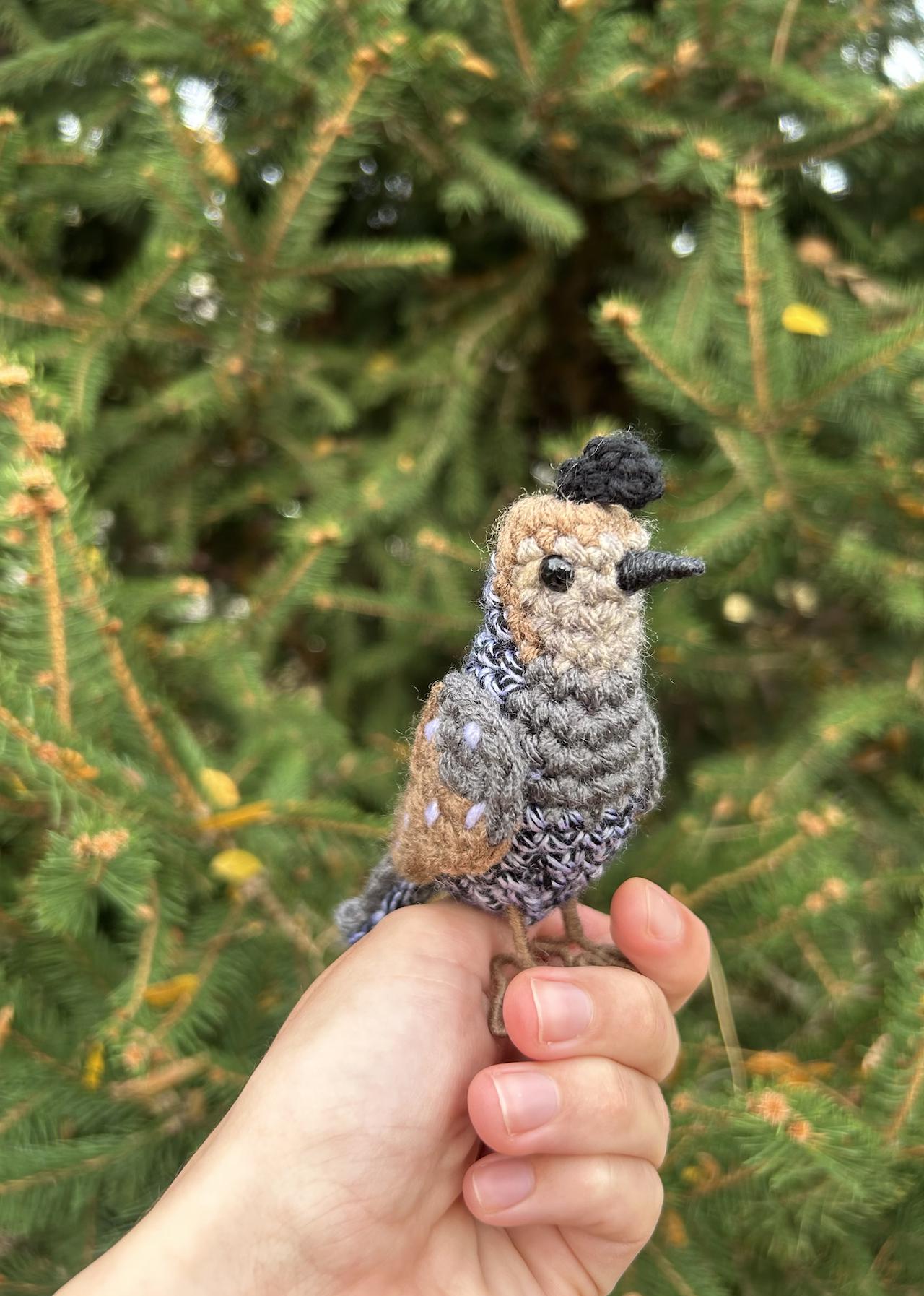 Female California Quail Written Crochet Pattern | DIGITAL PDF