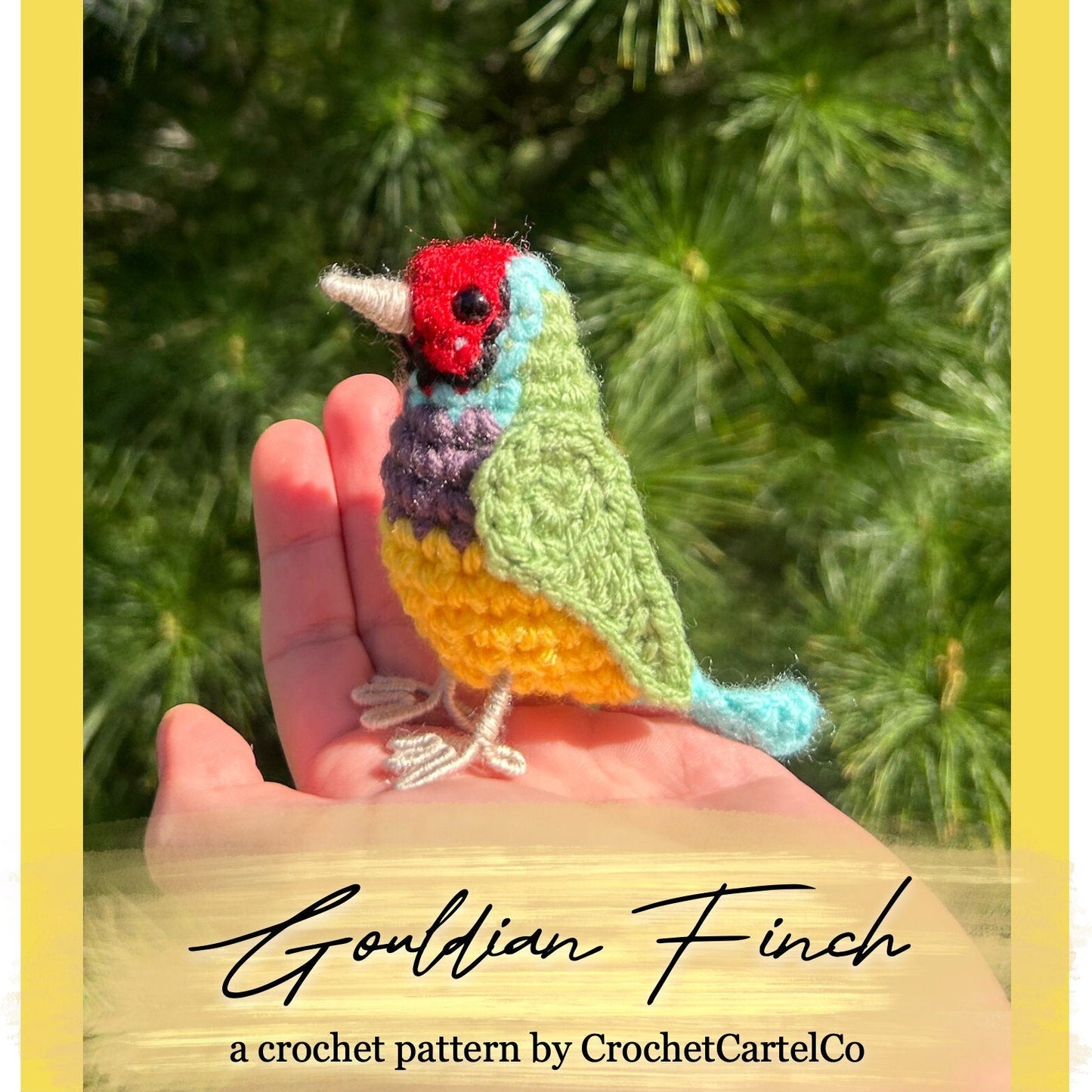 Colorful crocheted Gouldian Finch pattern, shown held in a hand with a green leafy background