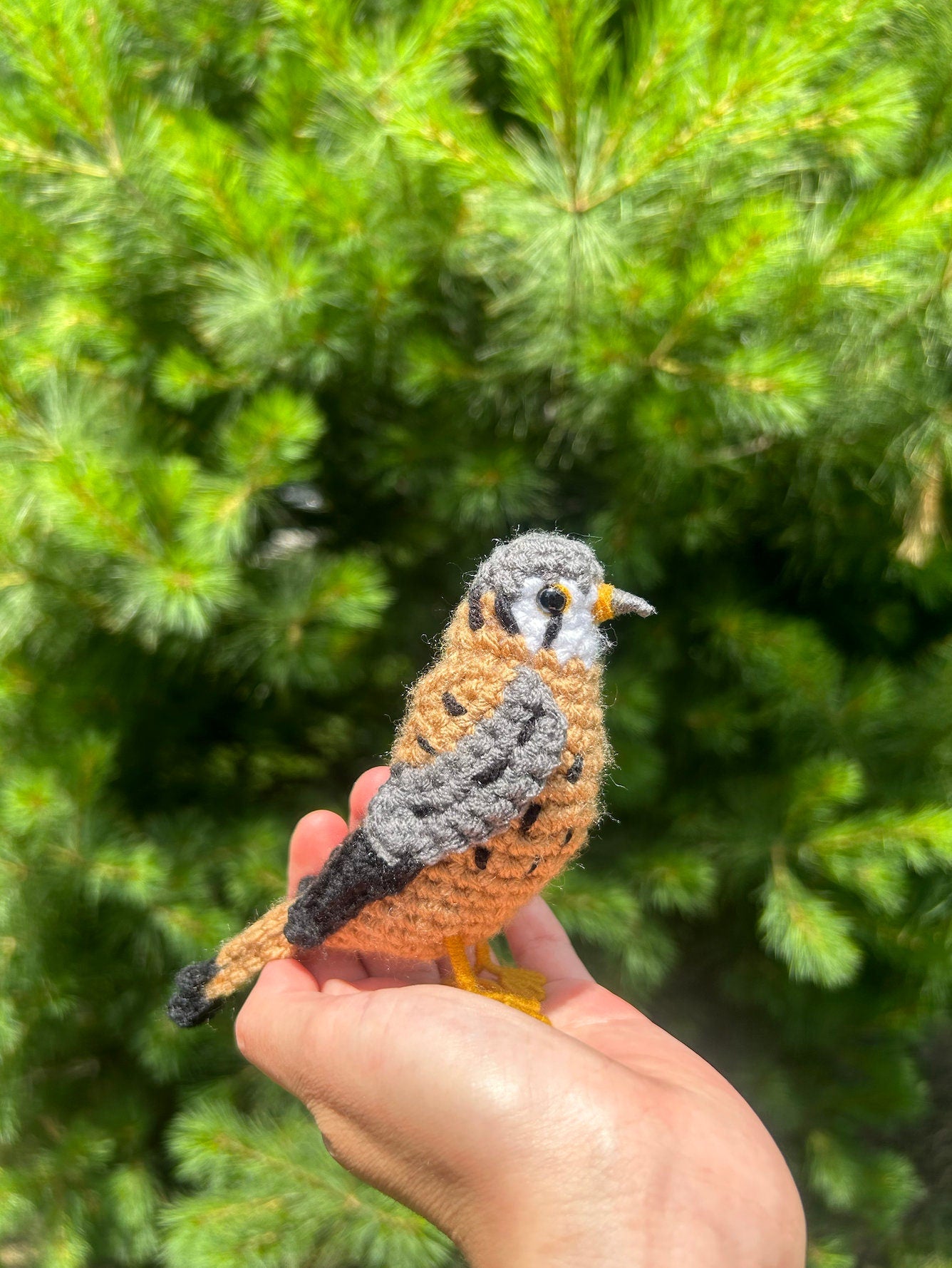 American Kestrel Written Crochet Pattern | DIGITAL PDF