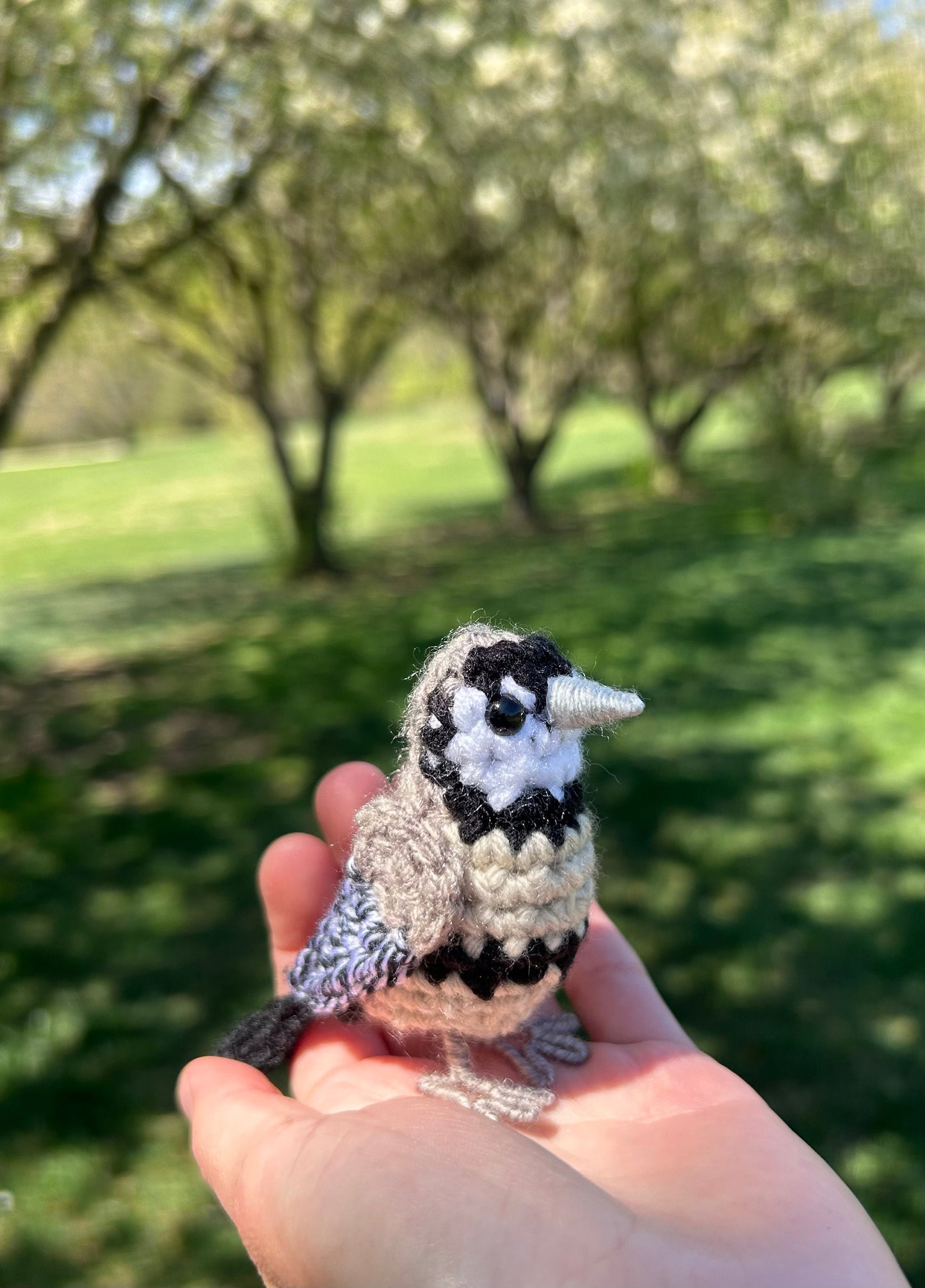 Owl Finch Written Crochet Pattern | DIGITAL PDF