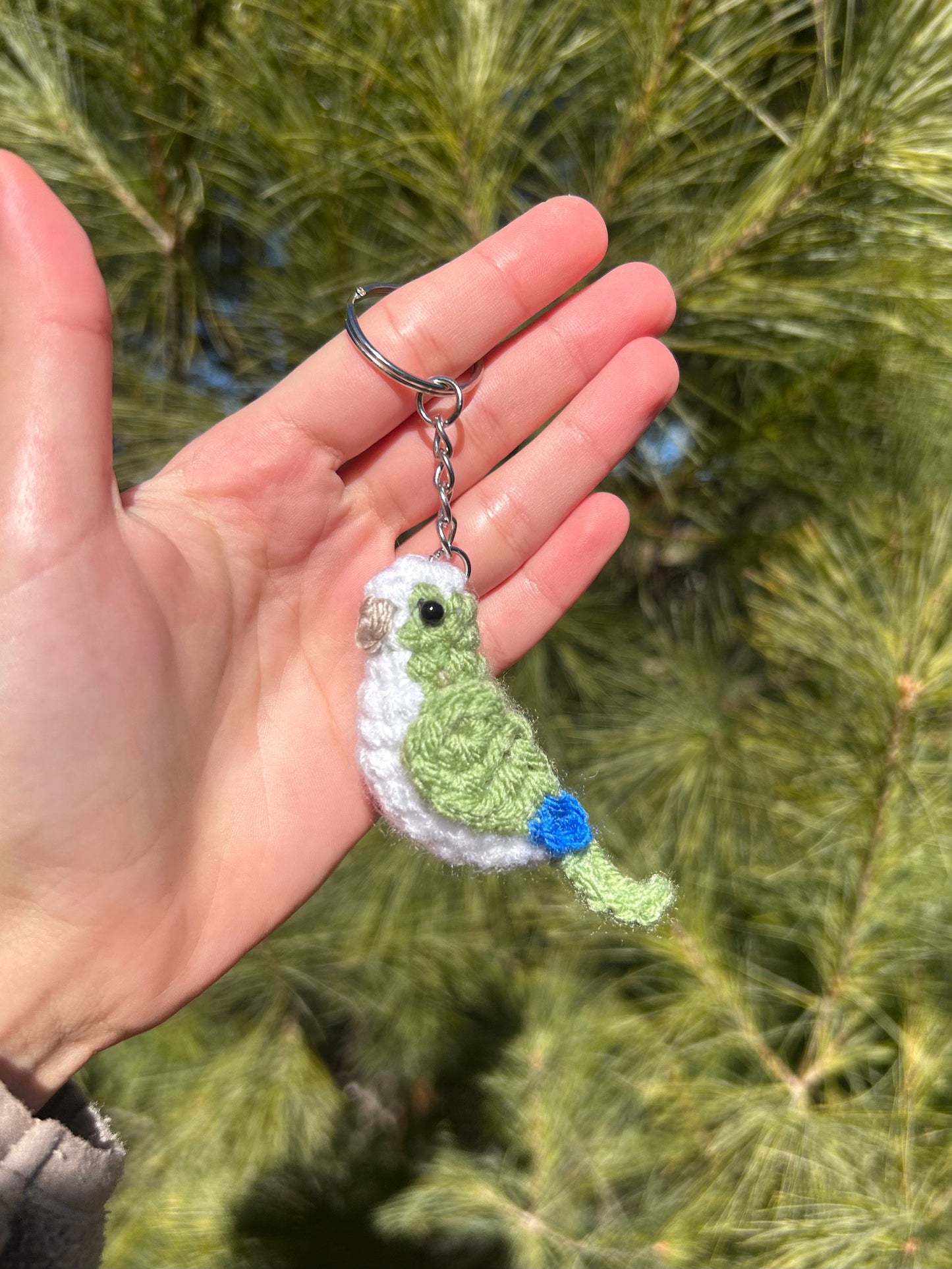 Tiny Birdies Quaker Parrot Written Crochet Pattern | DIGITAL PDF