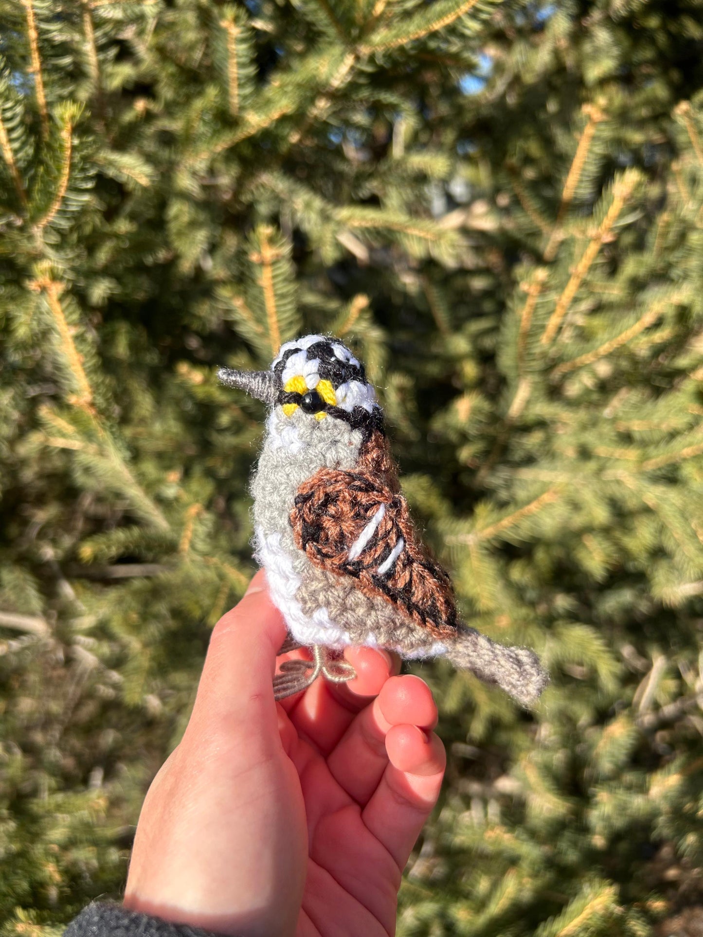 White-throated Sparrow Written Crochet Pattern | DIGITAL PDF