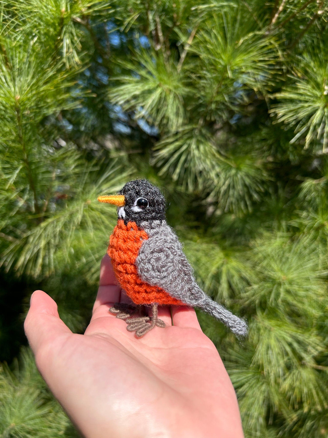 Birds of North America Crochet Pattern Collection | DIGITAL PDFs