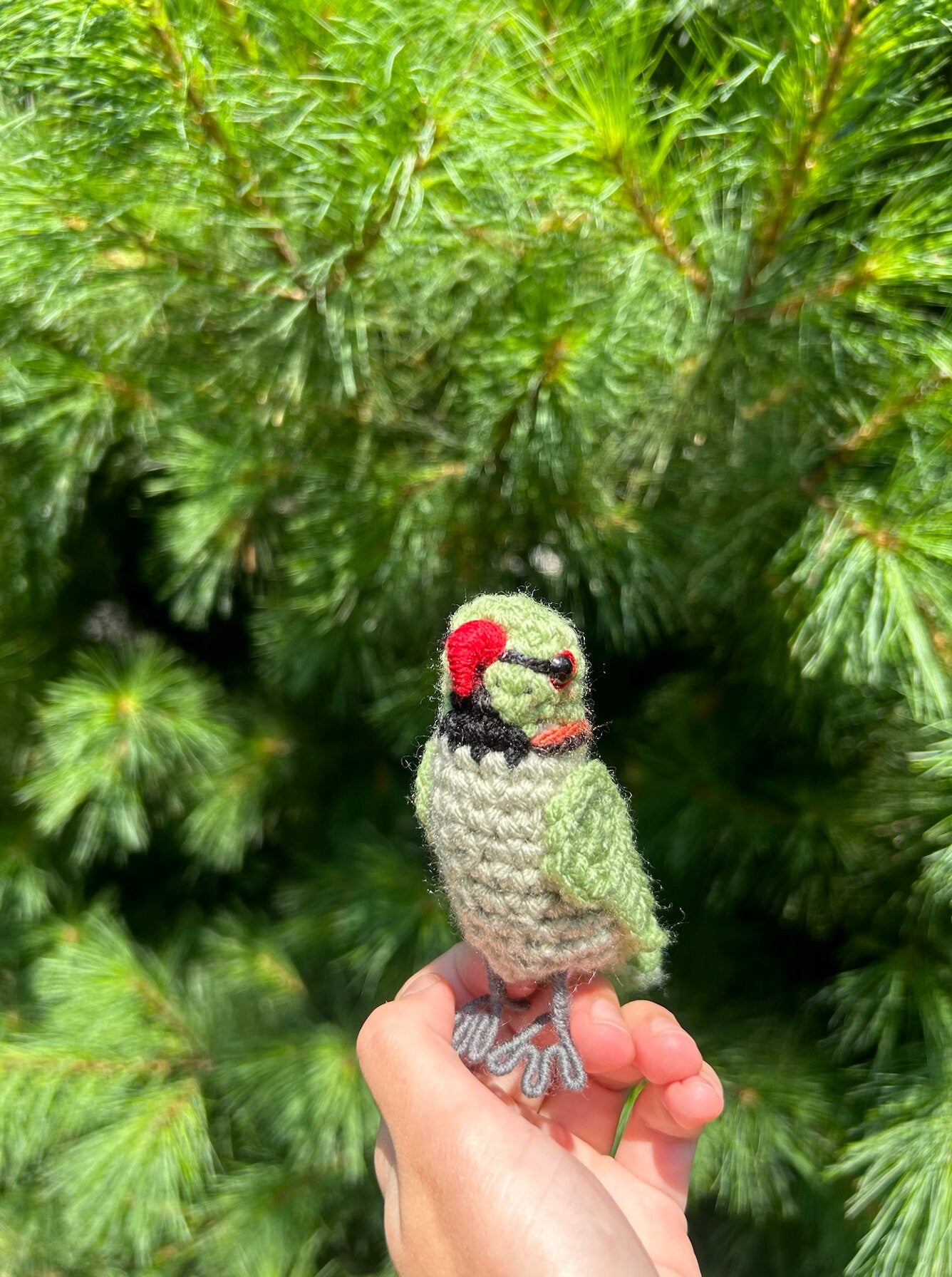 Rose Ringed Parakeet Written Crochet Pattern | DIGITAL PDF