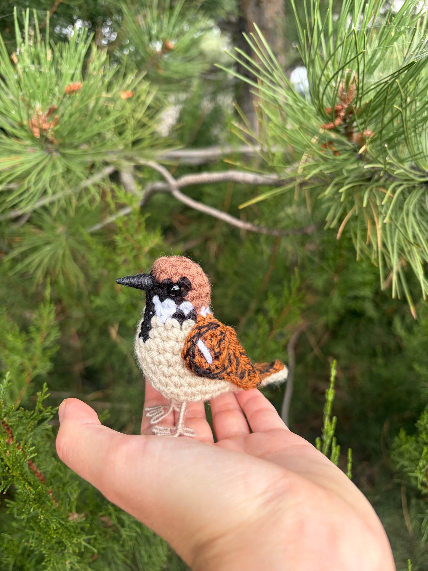 Eurasian Tree Sparrow Written Crochet Pattern | DIGITAL PDF