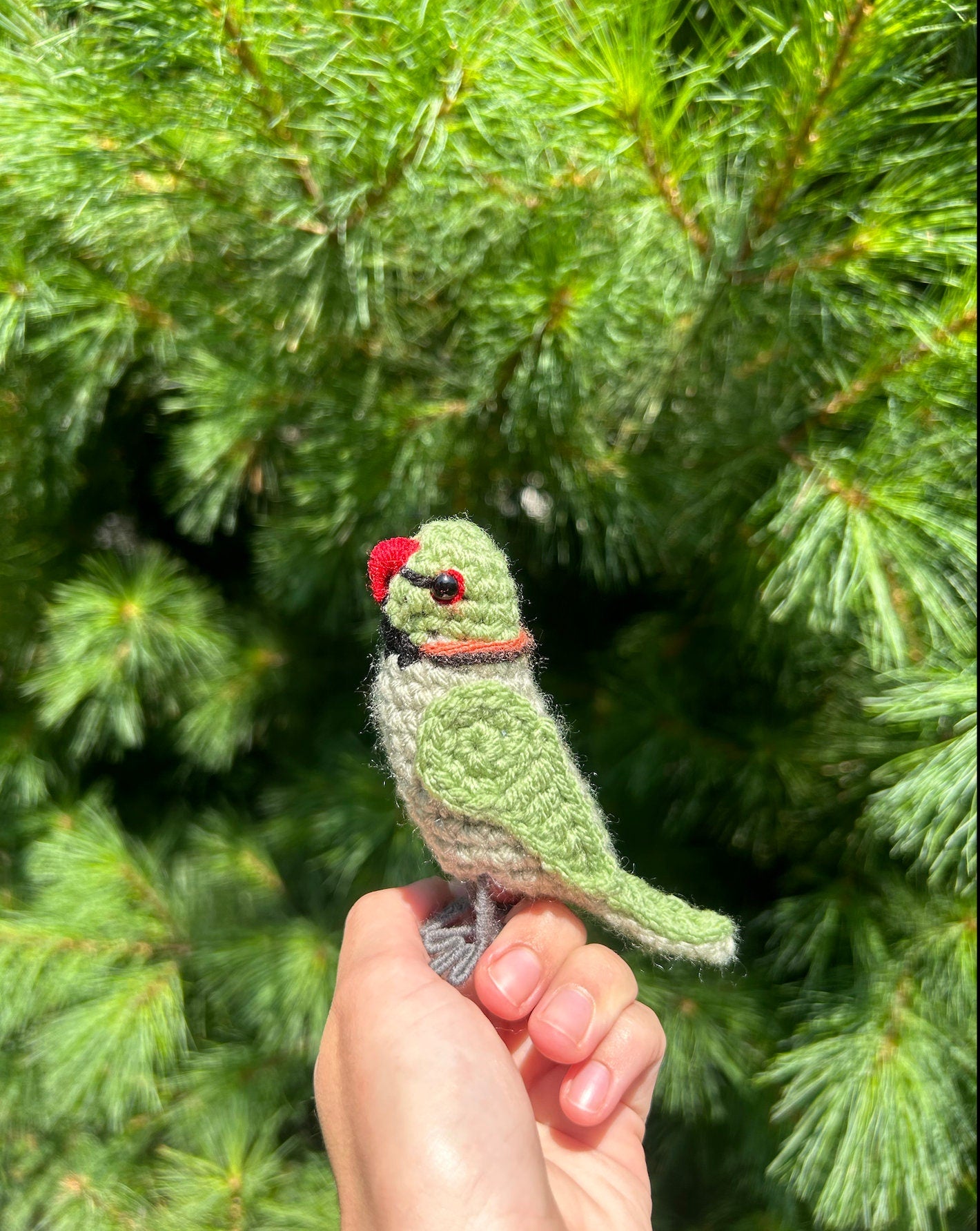 Rose Ringed Parakeet Written Crochet Pattern | DIGITAL PDF