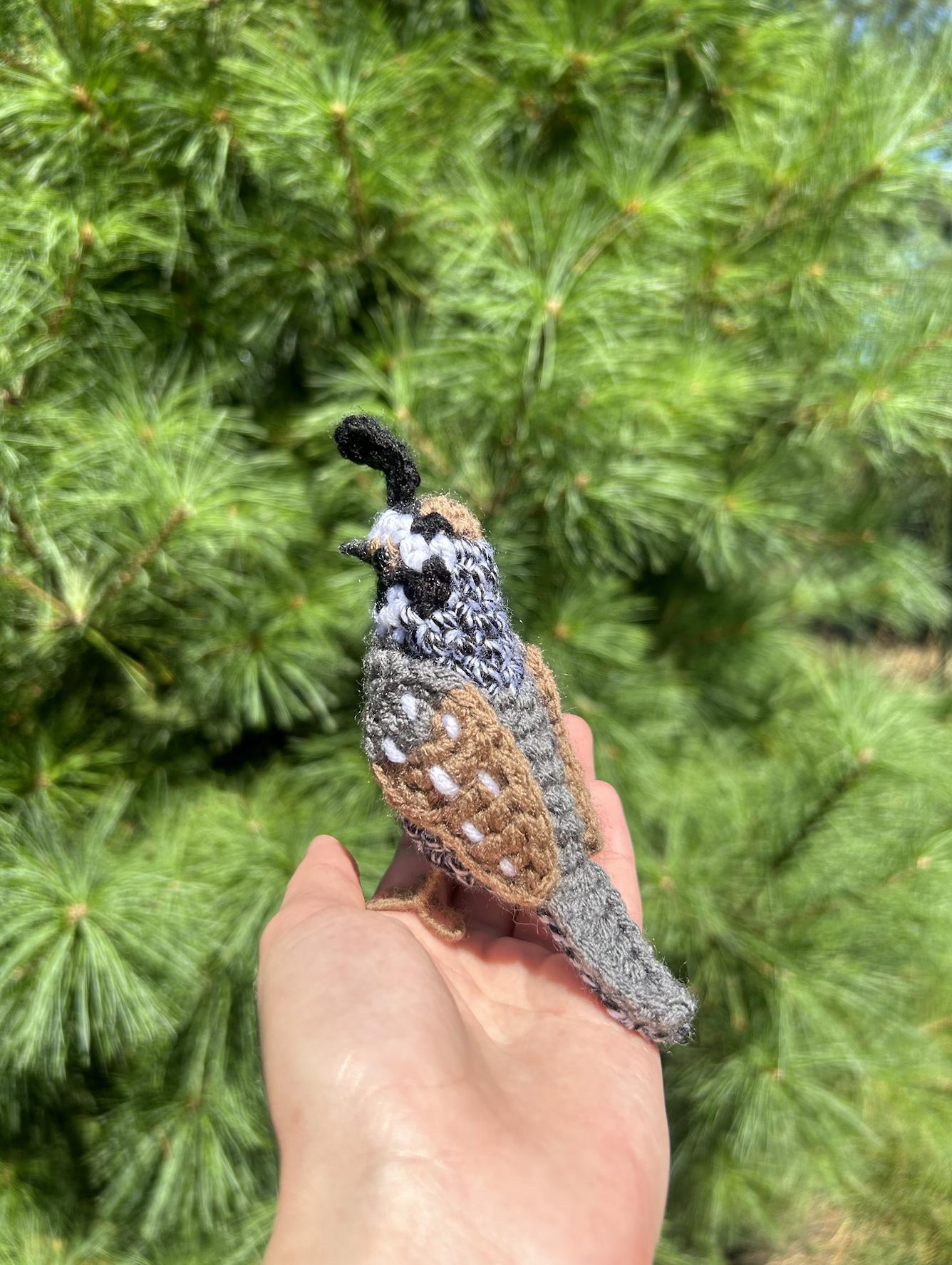California Quail Plush