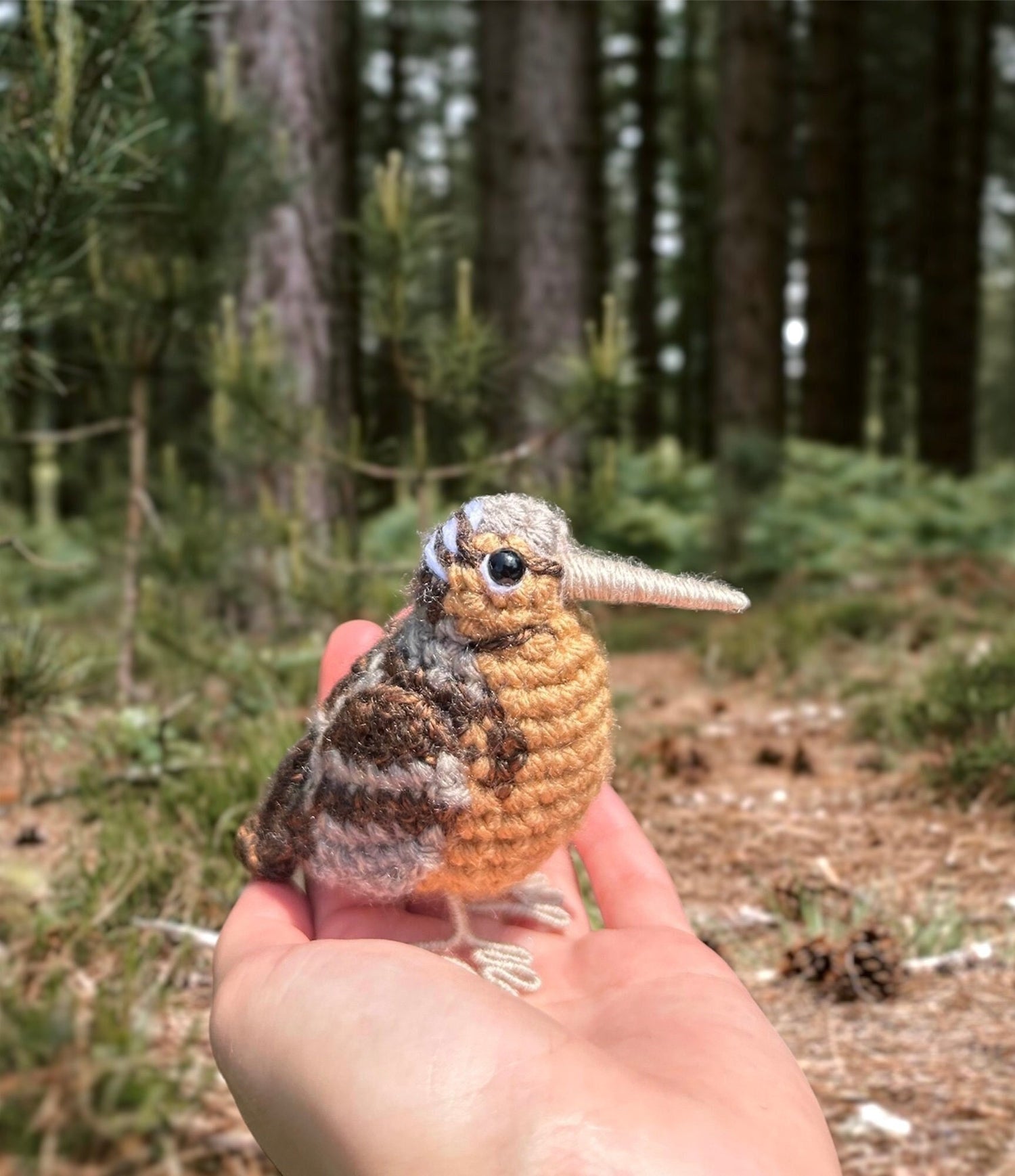 Small bird held in a hand with a forest background