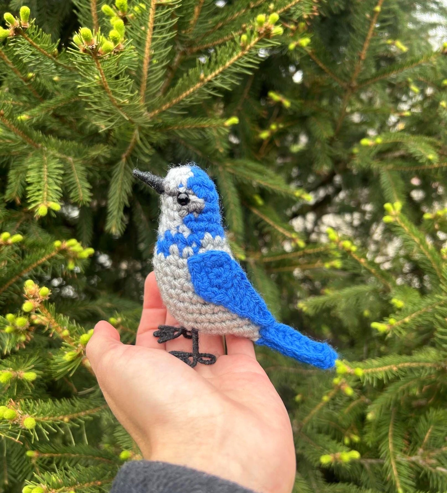 Scrub Jay Written Crochet Pattern | DIGITAL PDF