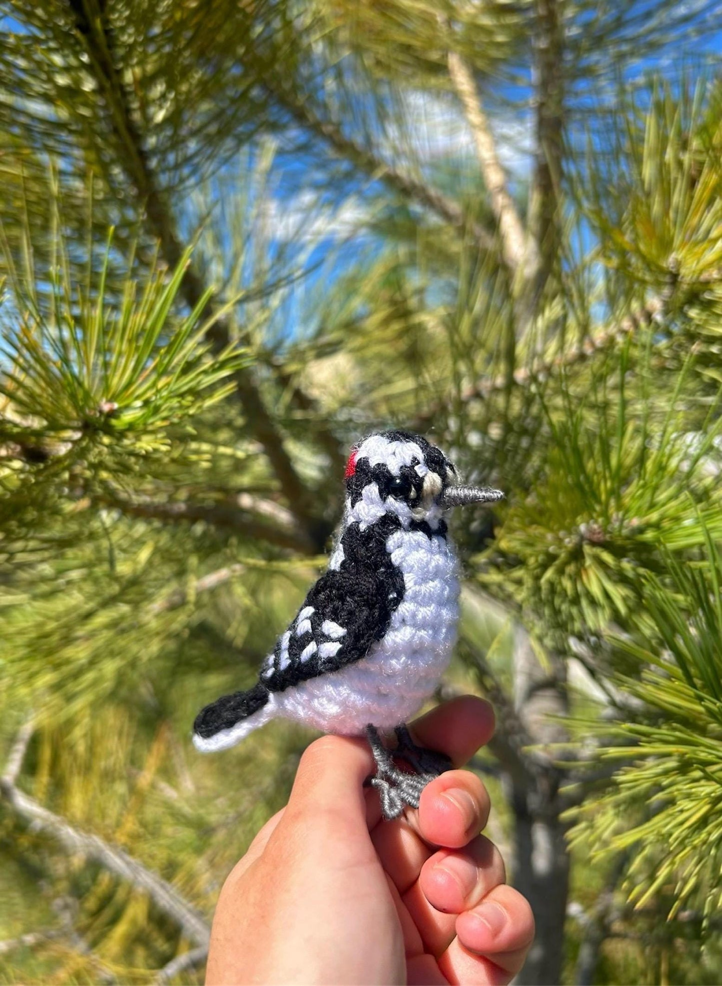 Downy Woodpecker Written Crochet Pattern | DIGITAL PDF