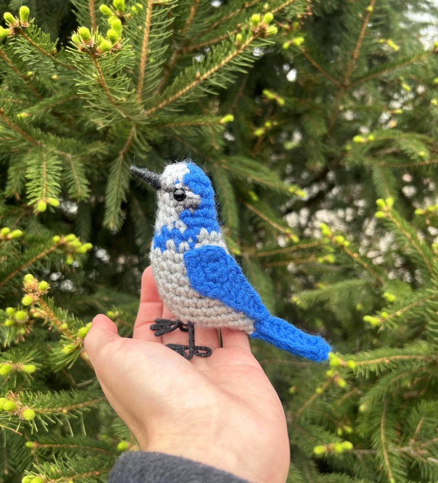 Scrub Jay Plush