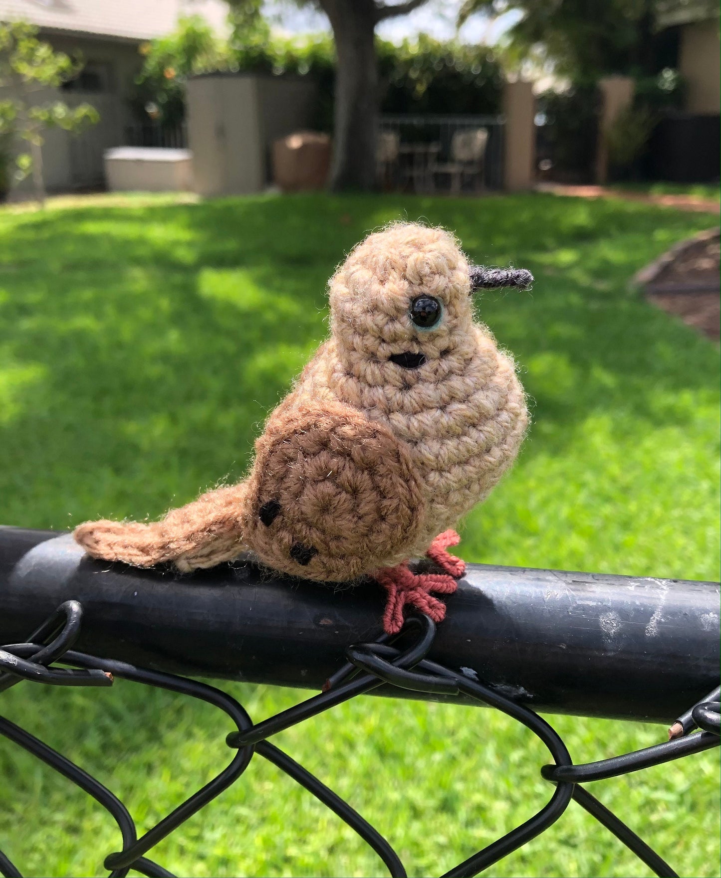Mourning Dove Written Crochet Pattern | DIGITAL PDF