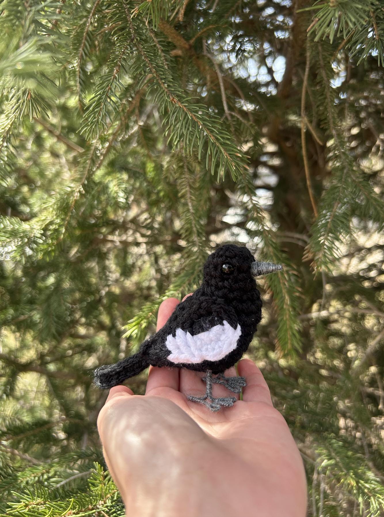 Birds of Colorado Crochet Pattern Collection | DIGITAL PDFs