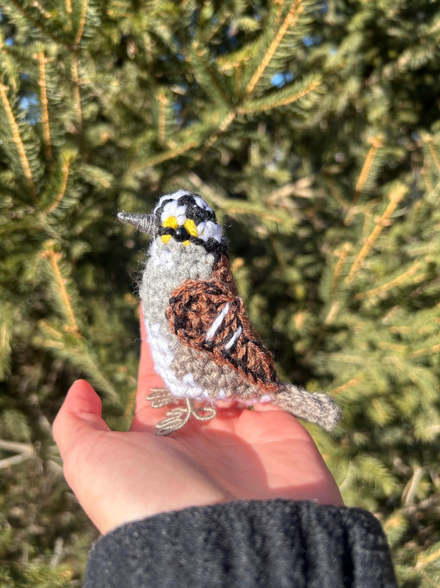 White-throated Sparrow Written Crochet Pattern | DIGITAL PDF